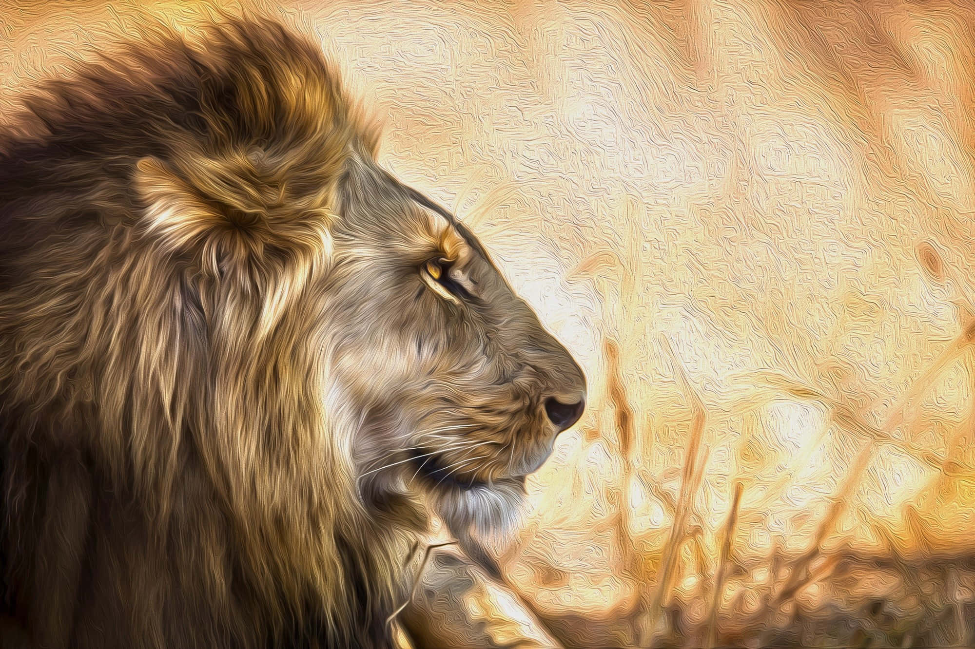 lion face, golden mane, warm-toned savanna, Full HD Desktop Wallpaper