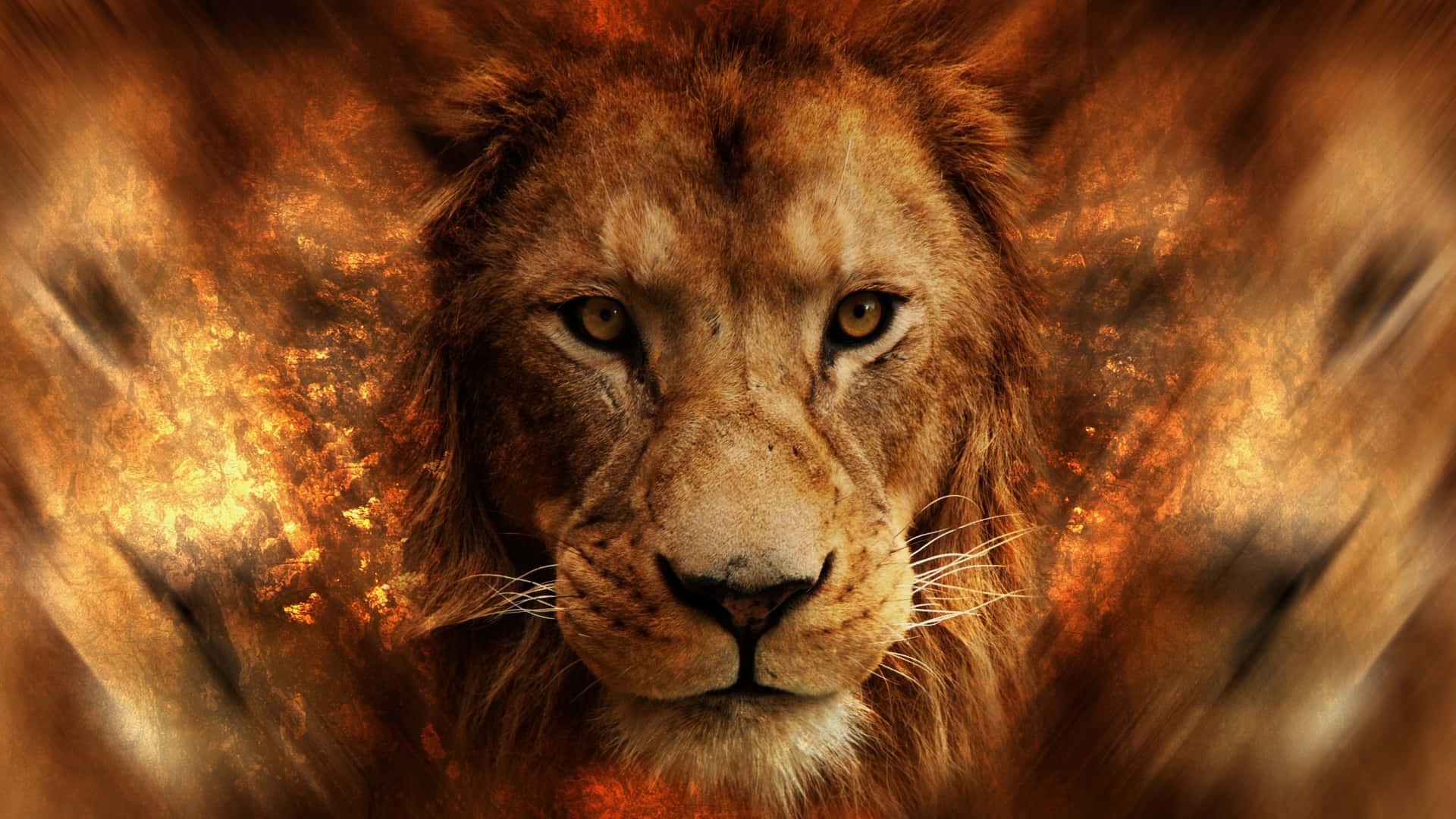 Three Lion Face Art, golden eyes, fiery orange, Full HD Desktop Wallpaper