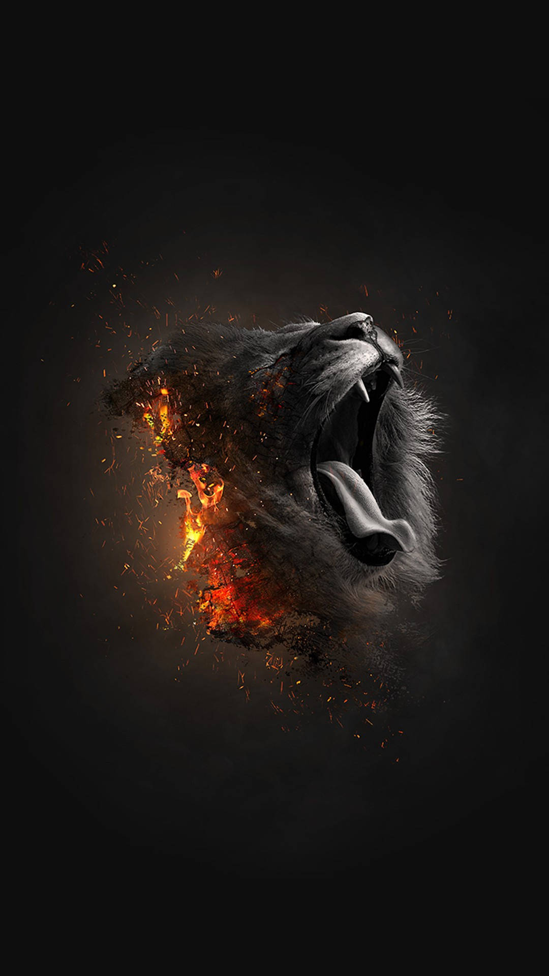 Yawning Fire Lion, roaring lion's head, fiery sparks, Full HD Phone Wallpaper