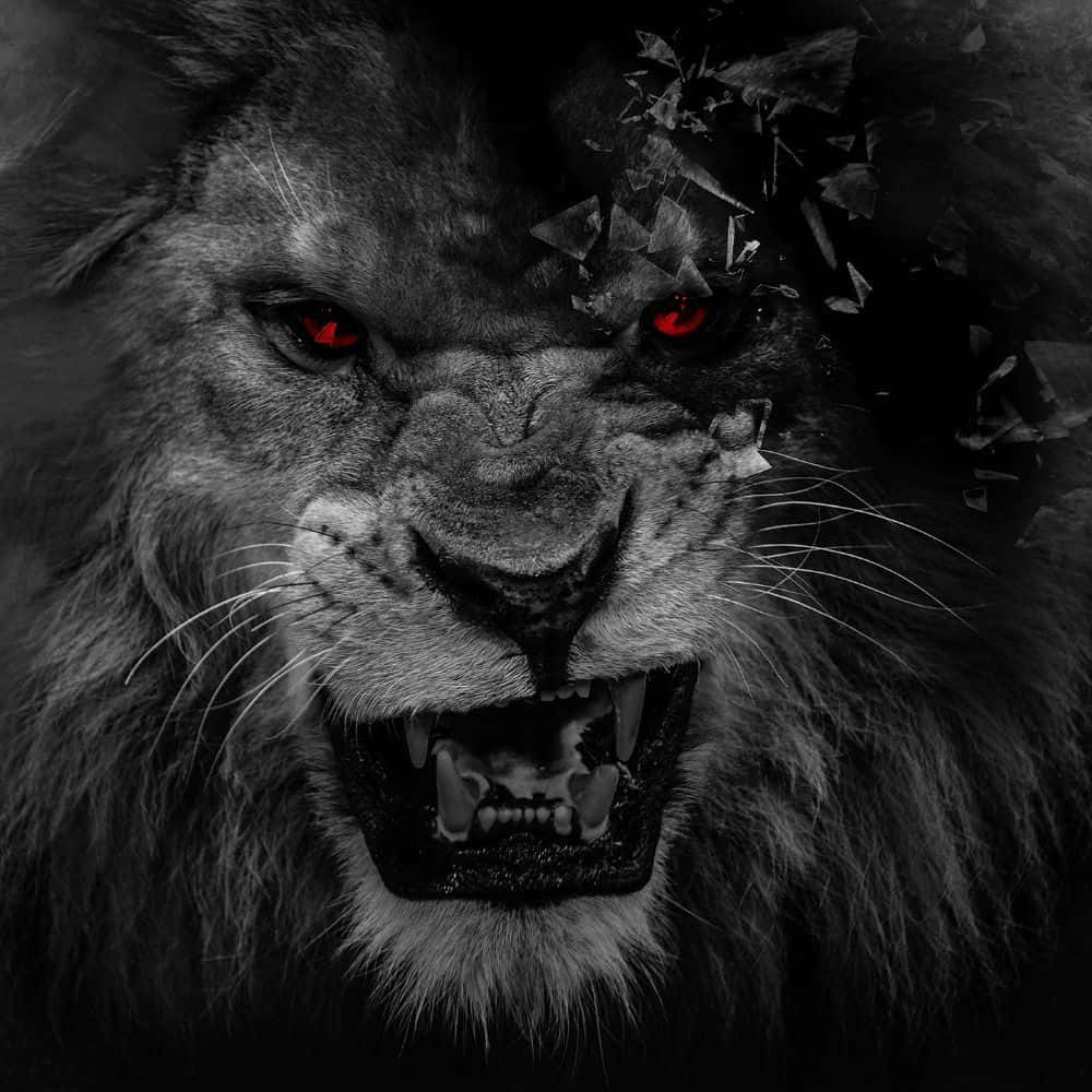 black and white lion, glowing red eyes, shattered glass fragments, SD Desktop Wallpaper