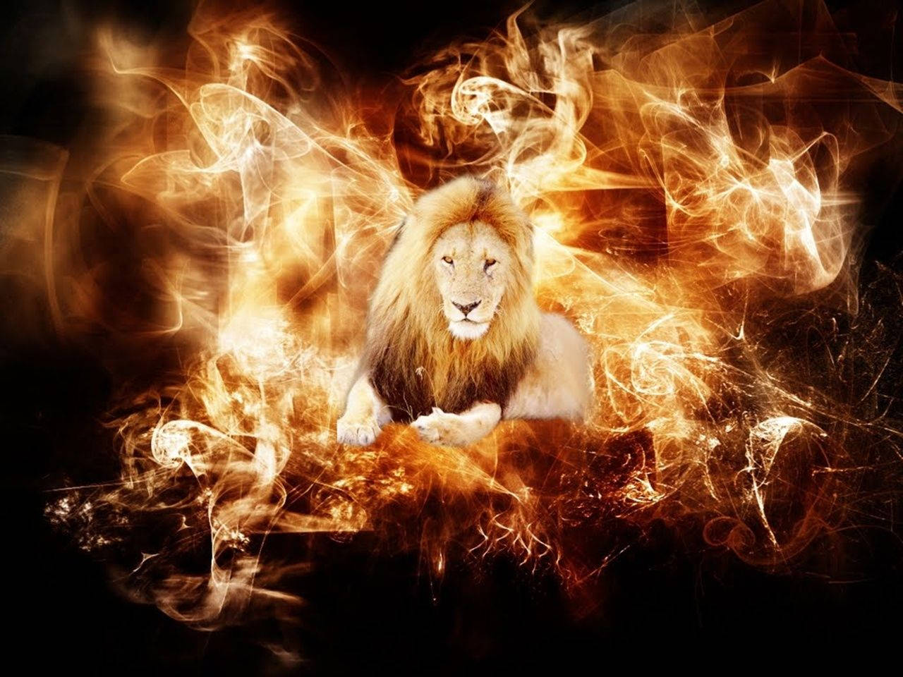 Fire Lion, golden mane, swirling fiery orange and white flames, HD Desktop Wallpaper