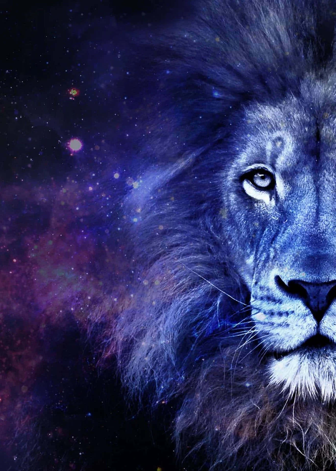 Lion Face, purple, cosmic nebula, Full HD Phone Wallpaper