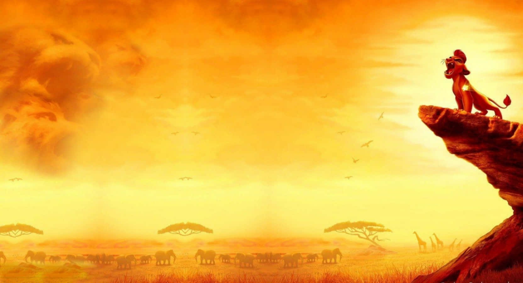 Lion Guard, lion cub, golden savanna, HD Desktop Wallpaper