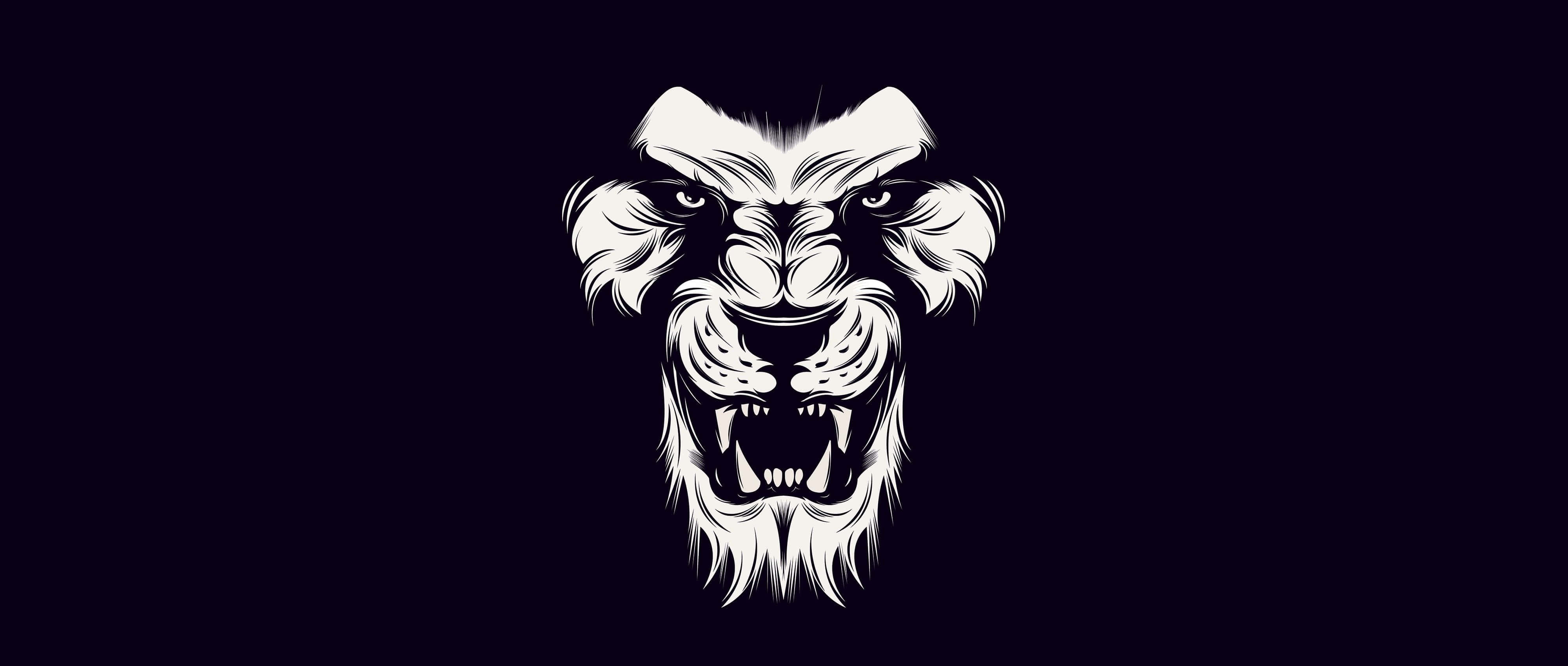 Black And White Lion Head, white lion head, bared teeth, 4K Desktop Wallpaper