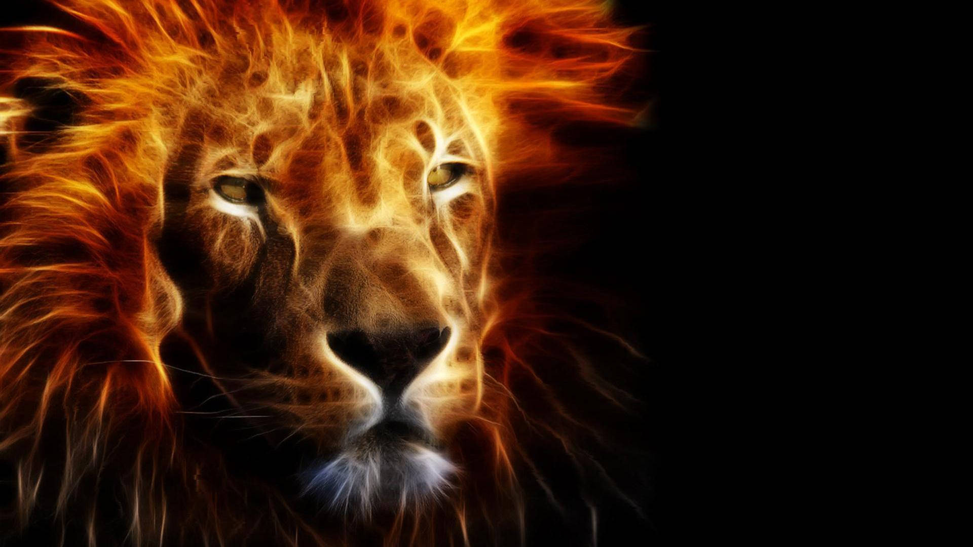 fire lion, fiery orange, yellow flames, Full HD Desktop Wallpaper