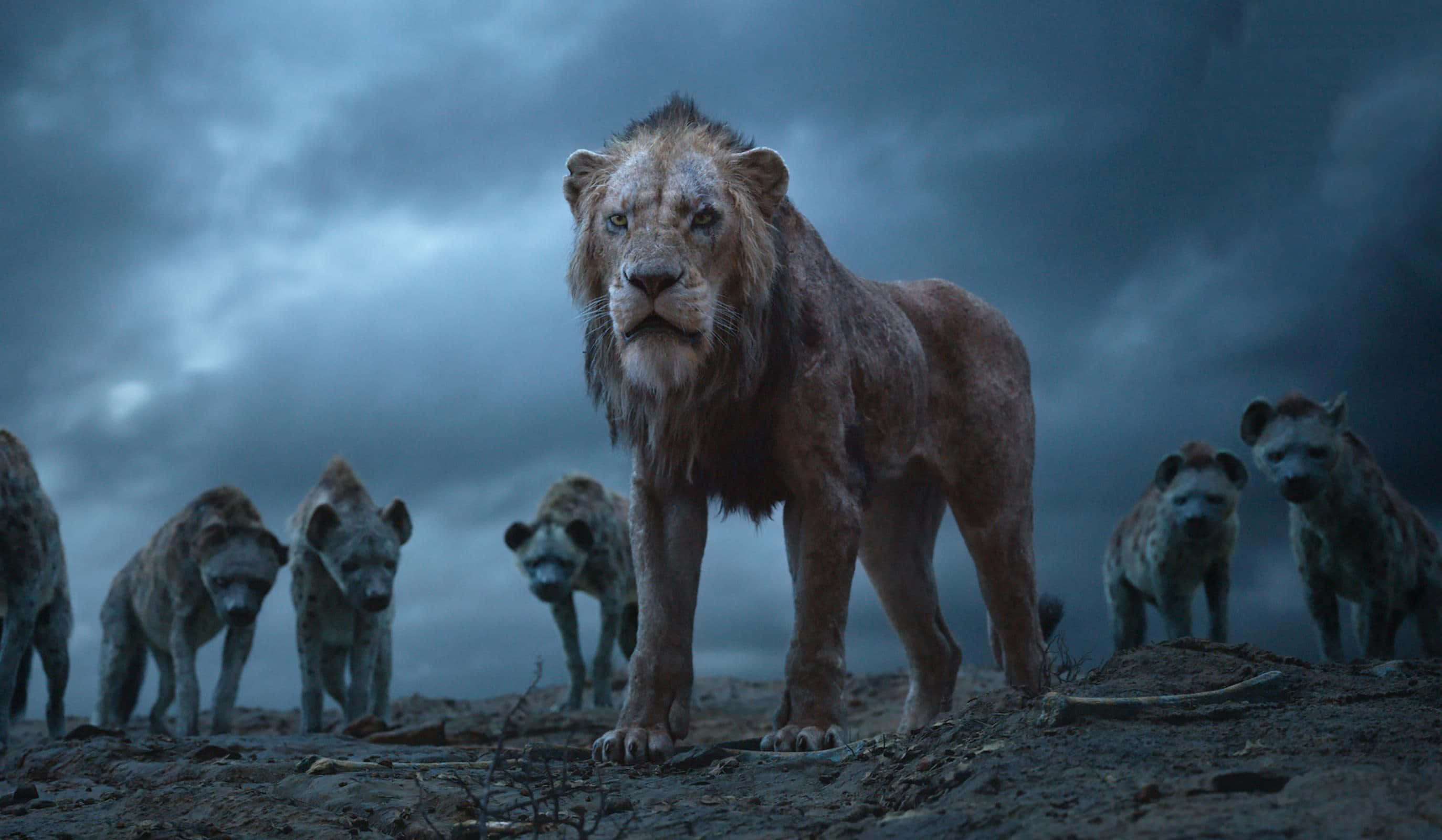 Lion King, Scar, hyenas, 2K Desktop Wallpaper