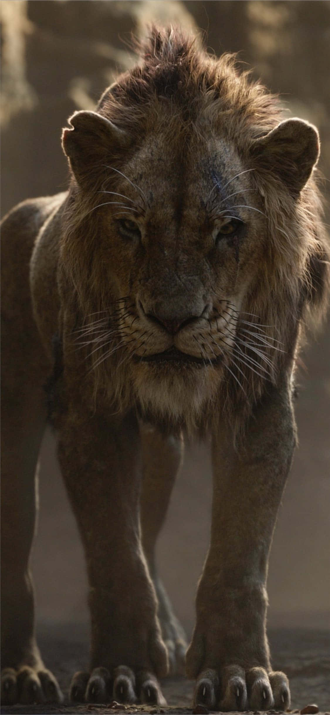 Lion King, Scar, male lion, Full HD Phone Wallpaper