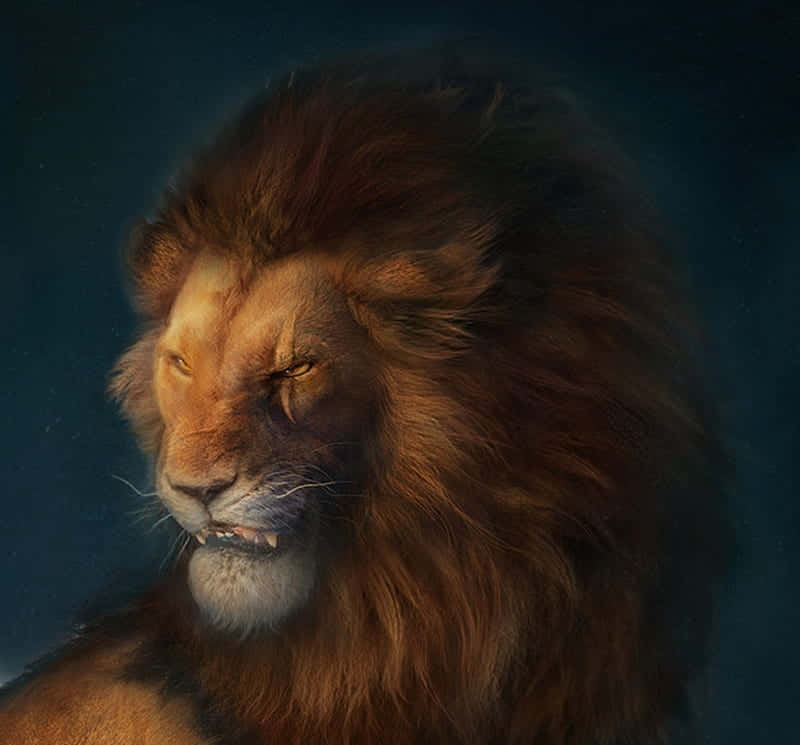 Lion King Scar, male lion, full mane, SD Desktop Wallpaper