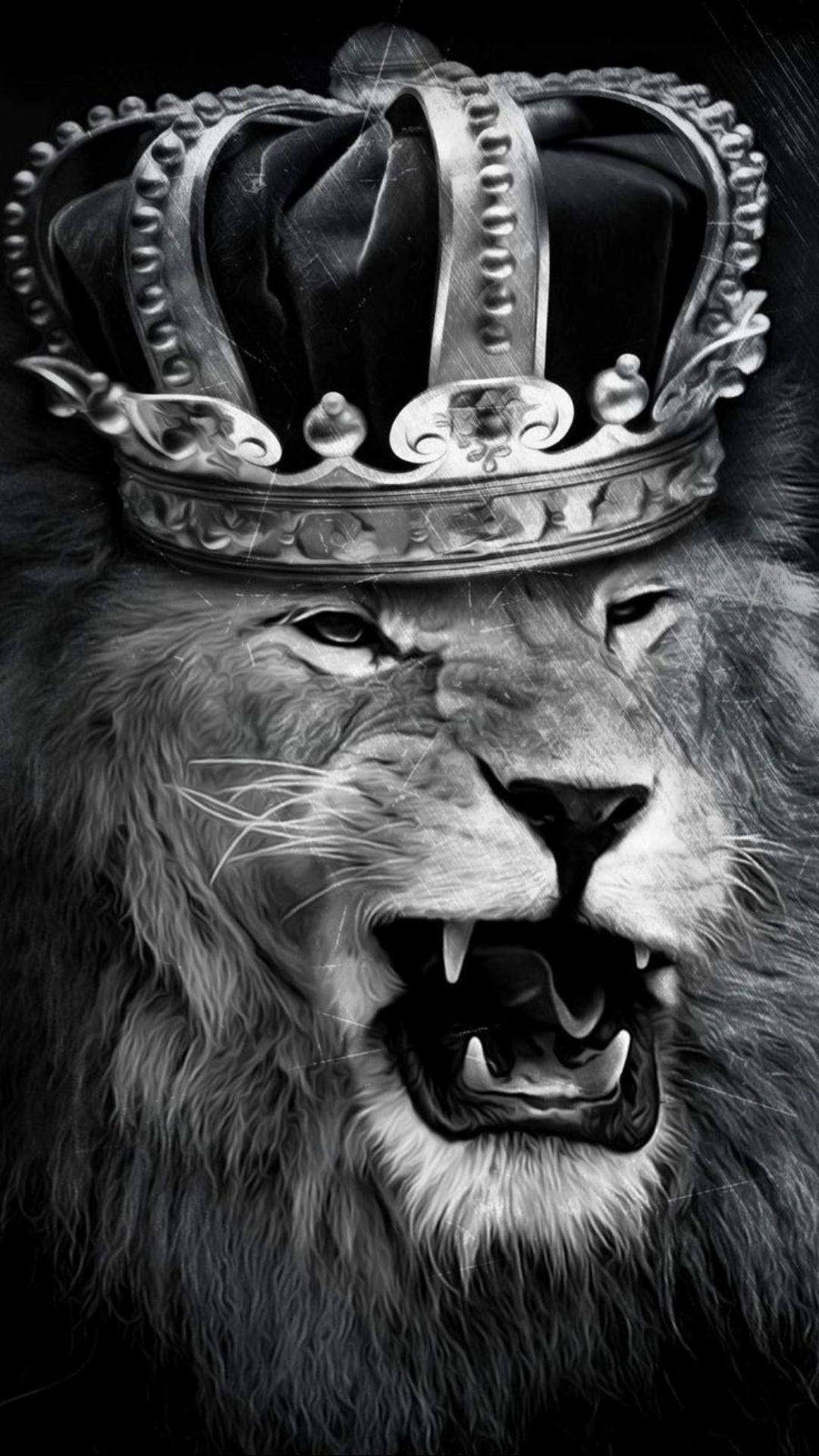 Lion King, lion, ornate crown, Full HD Phone Wallpaper