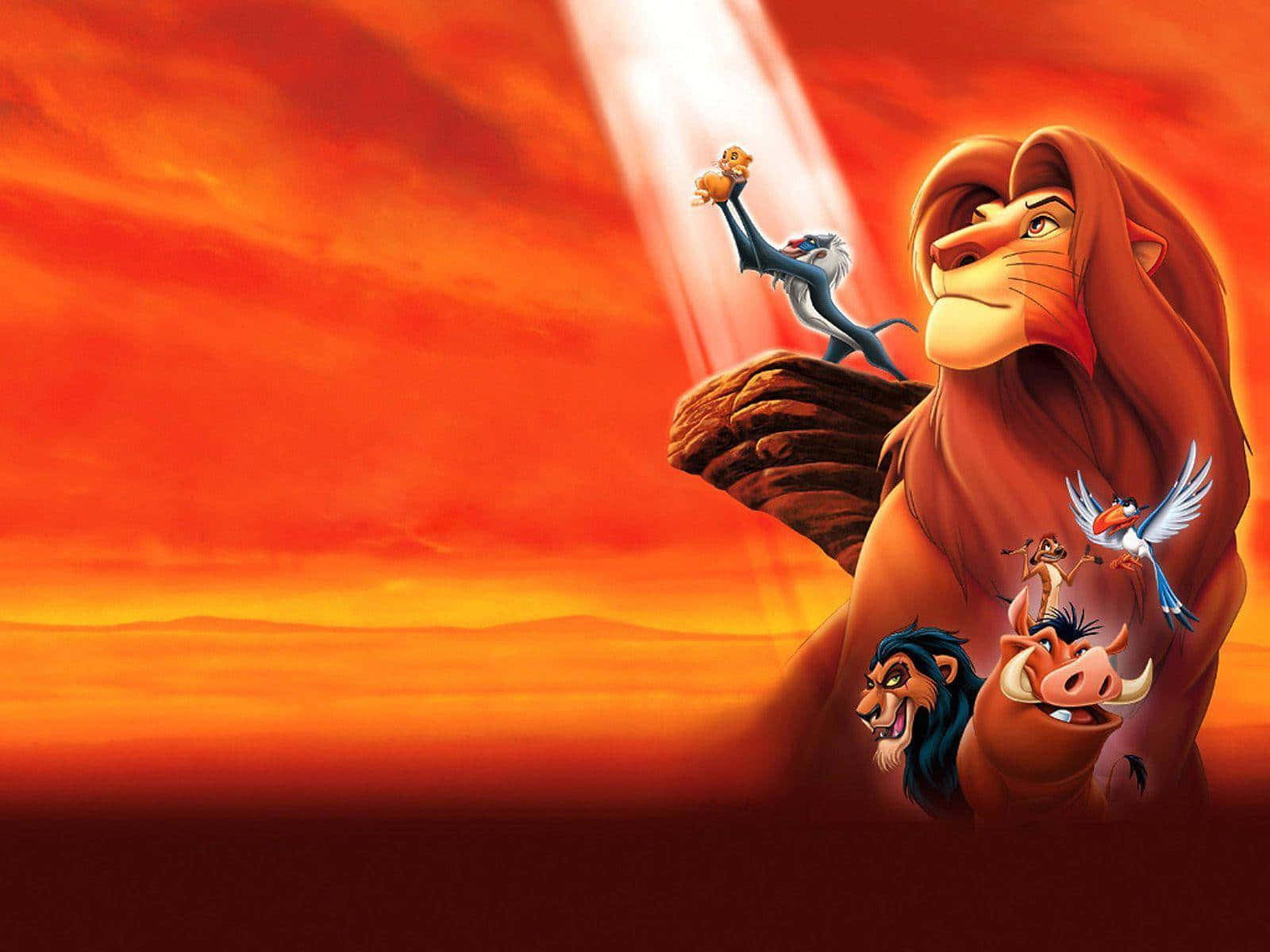 Lion King, sunset, fiery orange sky, HD Desktop Wallpaper