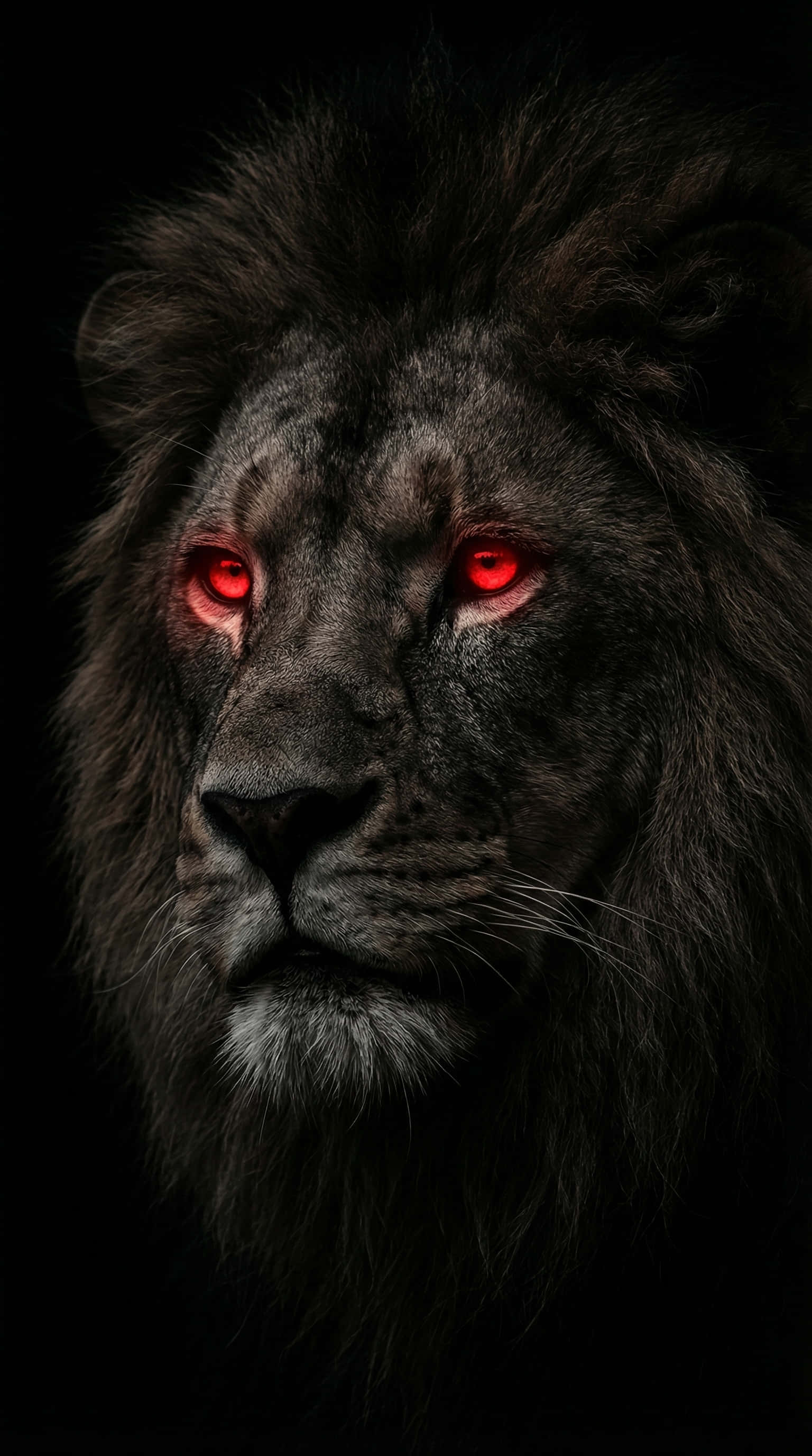 Lion King, glowing red eyes, black lion, 2K Phone Wallpaper