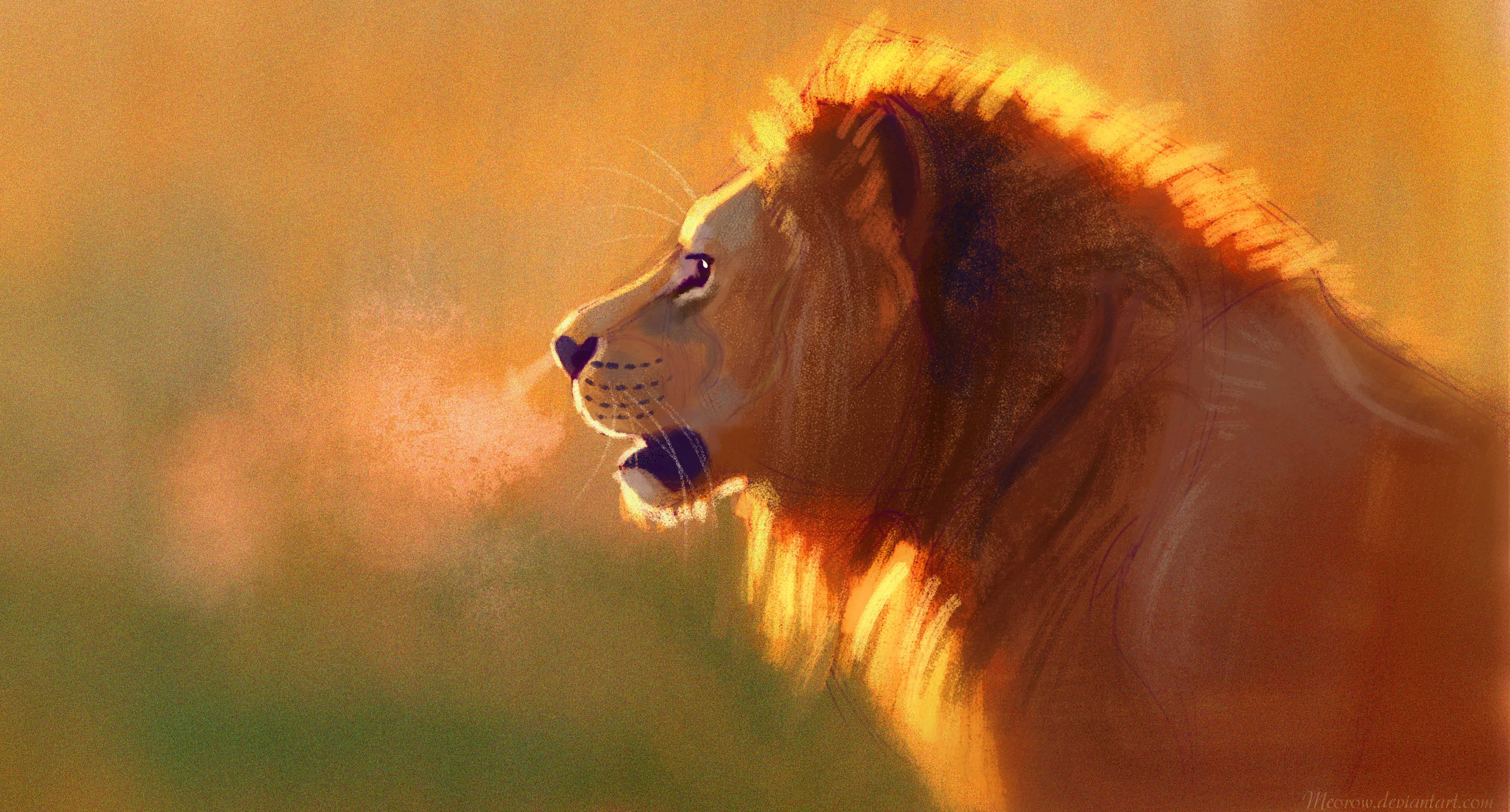 Lion King, lion, golden sunset light, 4K Desktop Wallpaper