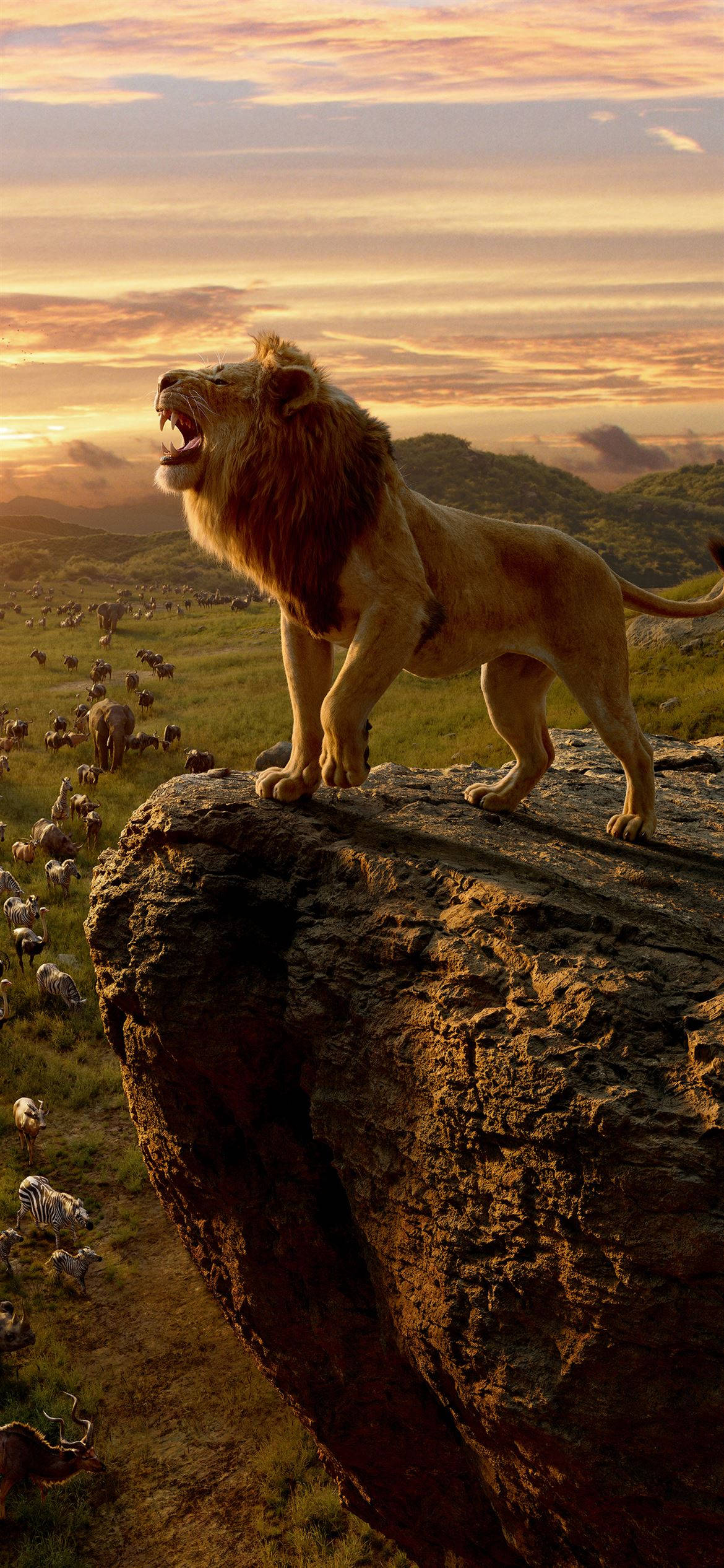 Lion King, lion, rocky cliff, Full HD Phone Wallpaper