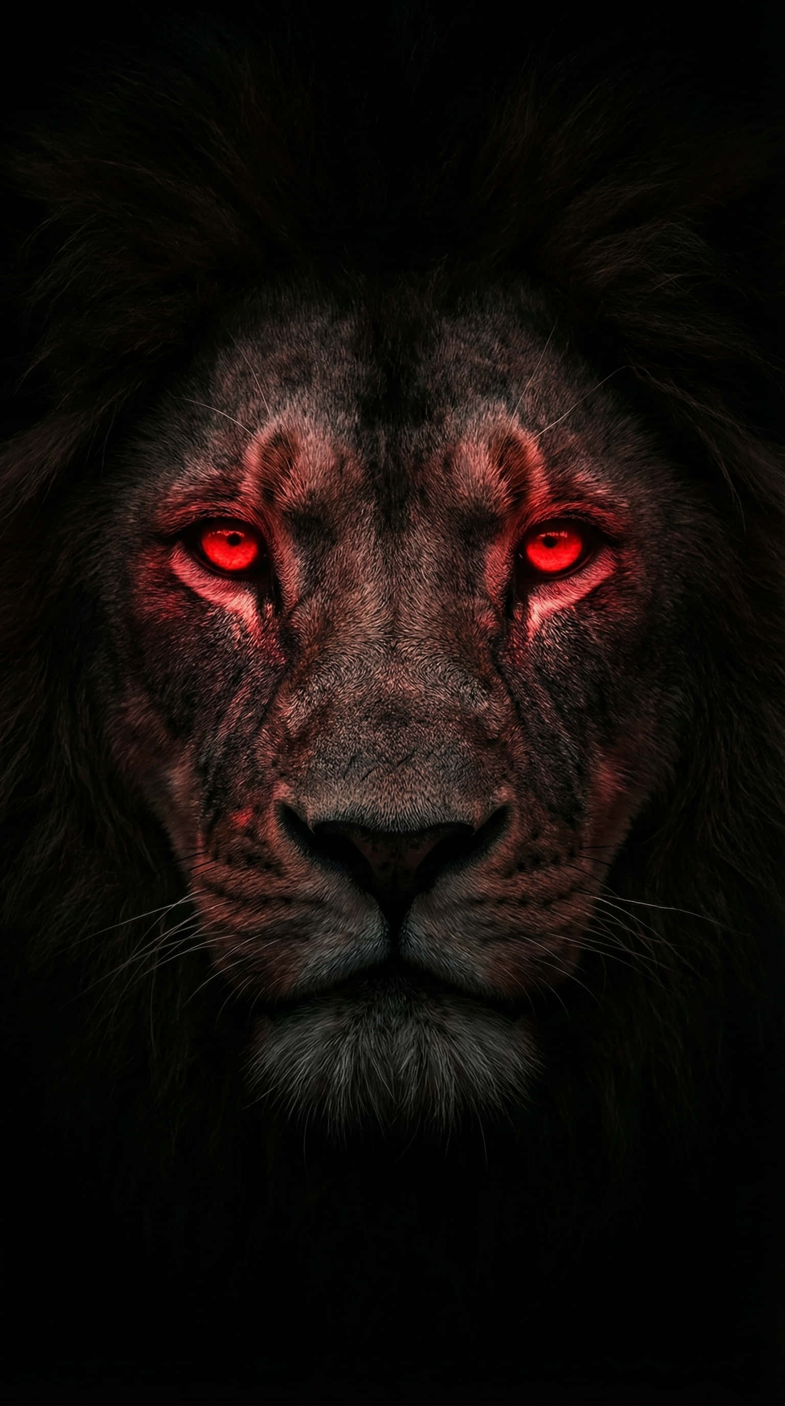Lion King, glowing red eyes, black lion, 2K Phone Wallpaper