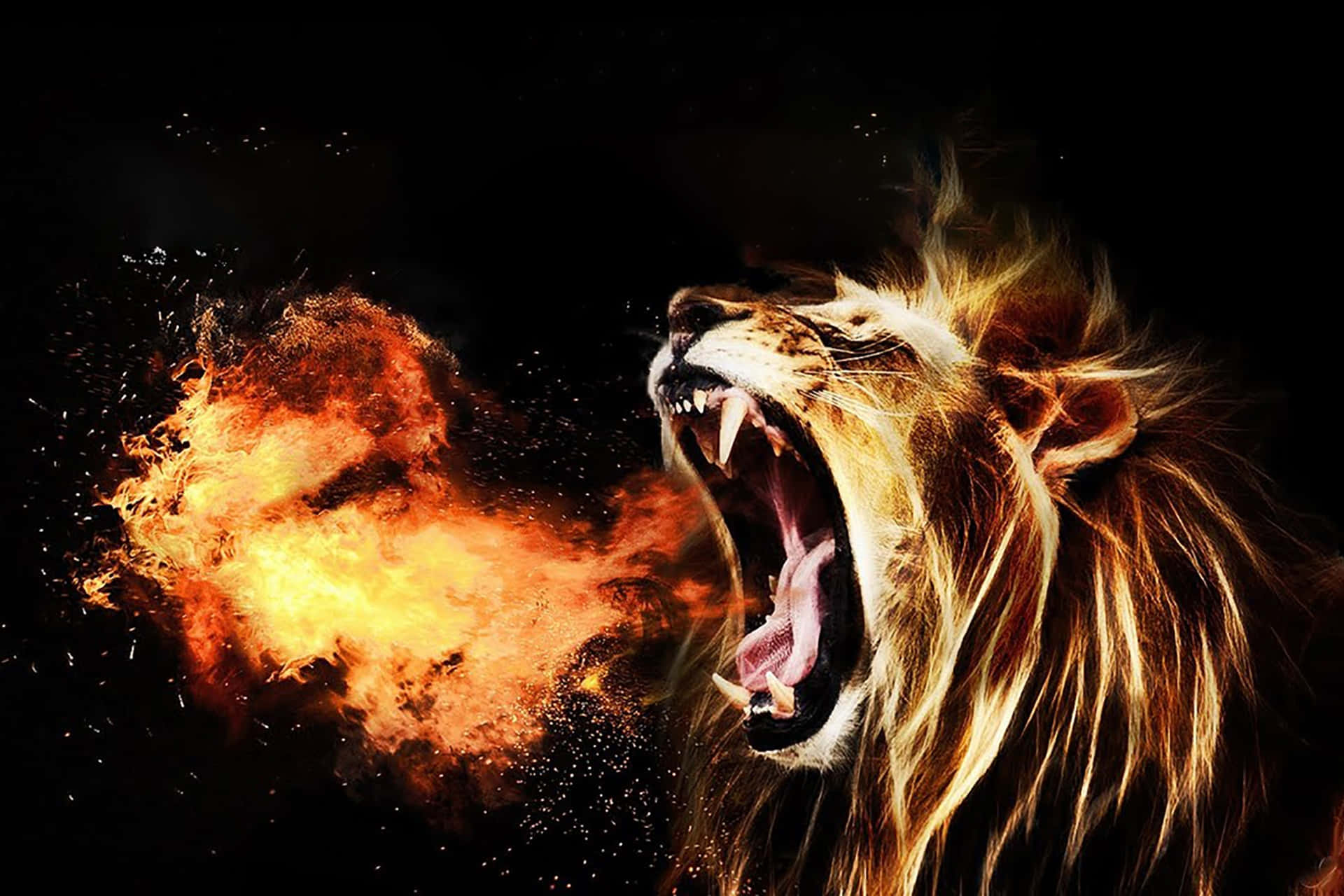 Angry Overt Lion, roaring lion, fiery blast, Full HD Desktop Wallpaper