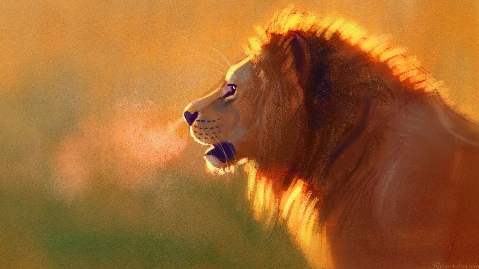 roaring lion, golden sunset, savanna, Full HD Desktop Wallpaper