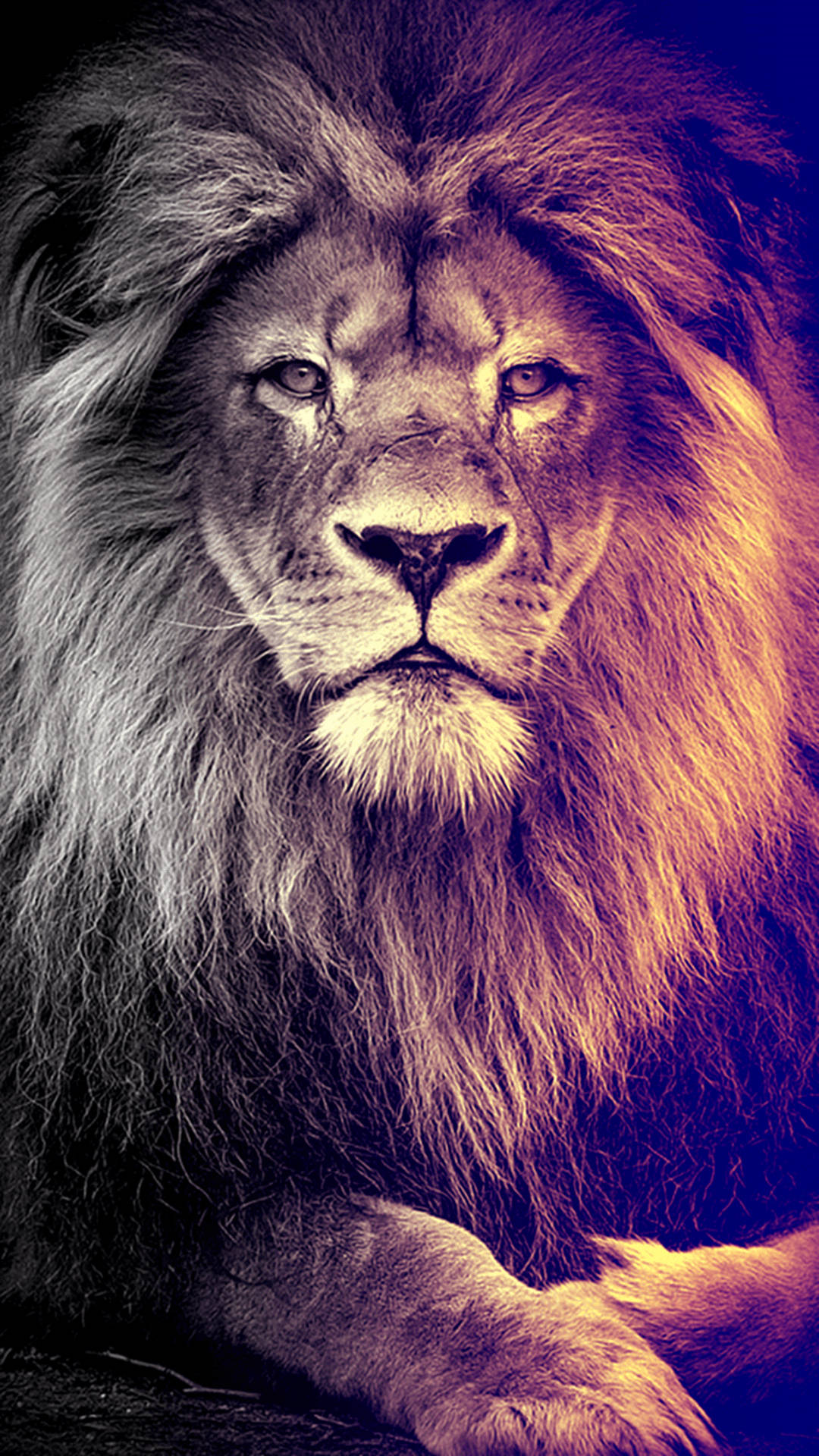 lion, iPhone, purple lighting, Full HD Phone Wallpaper