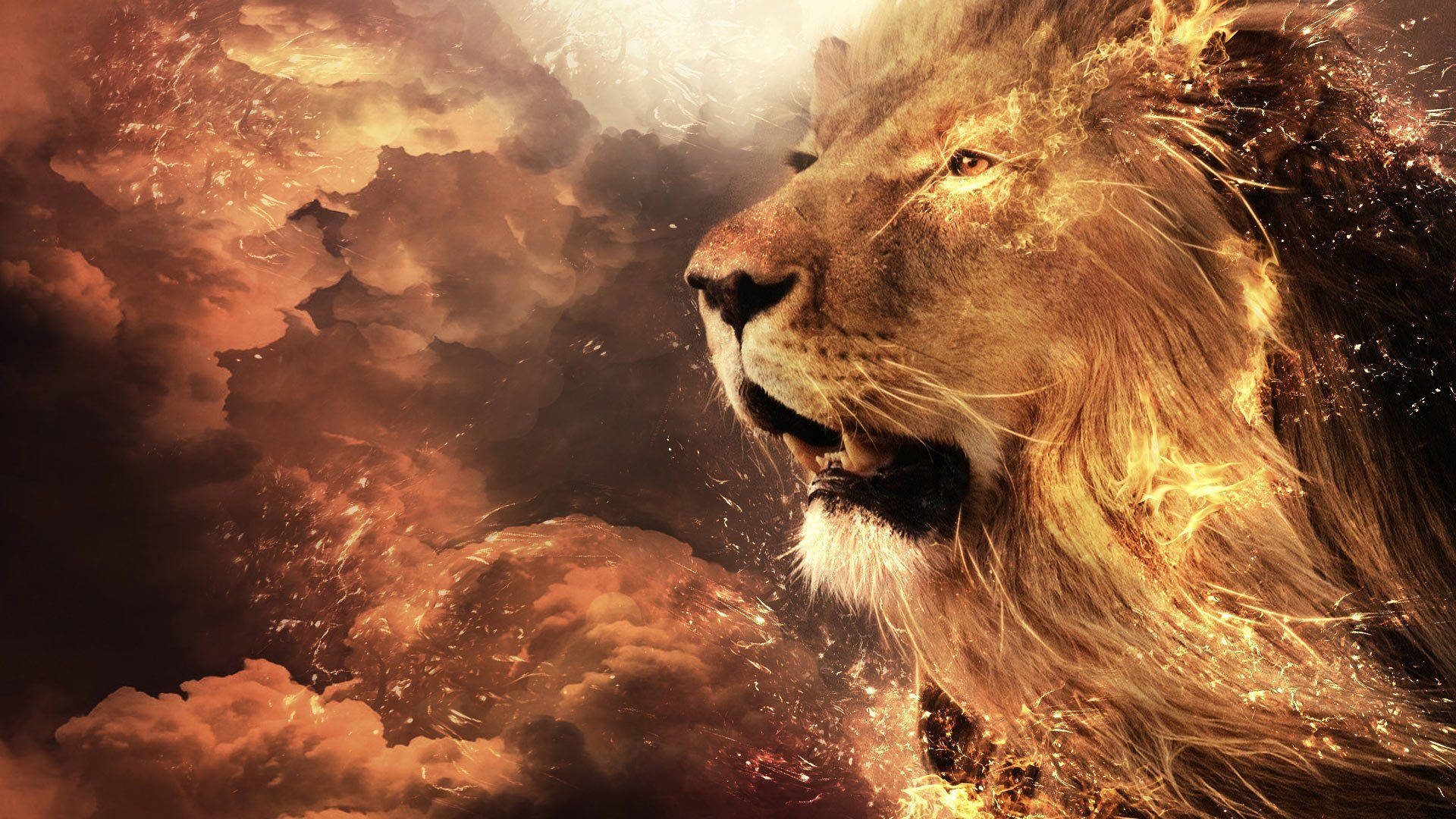 blazing lion, lion's head, fiery particles, Full HD Desktop Wallpaper