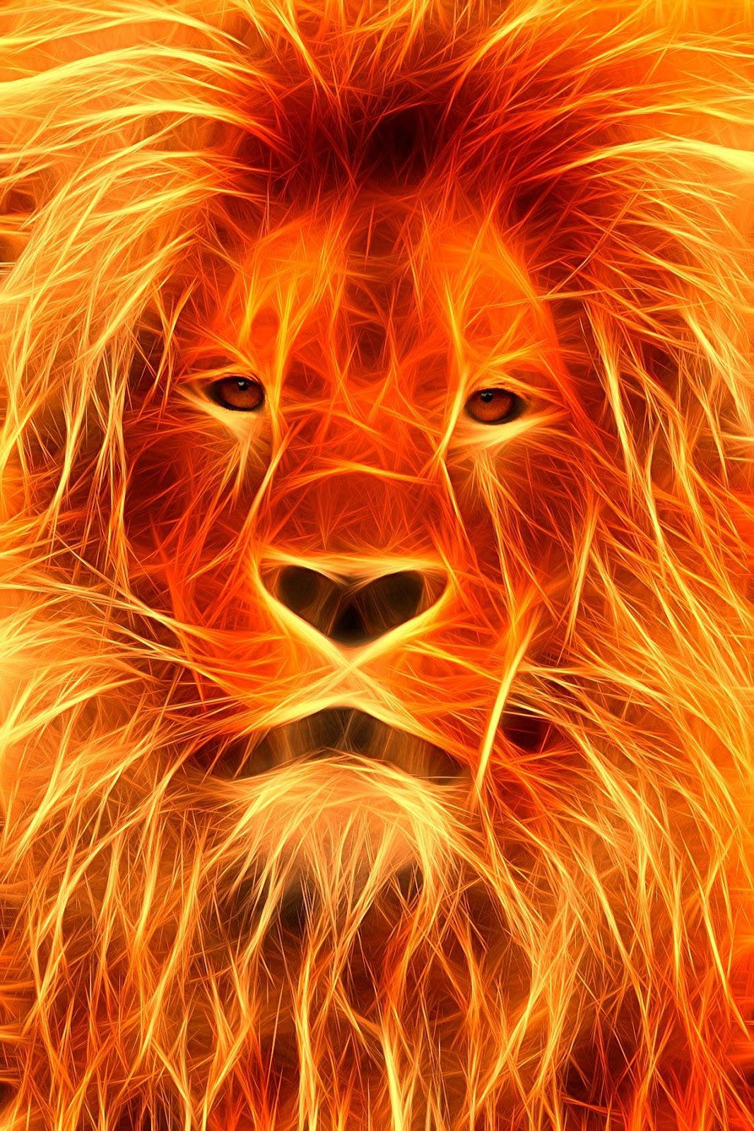 Fire Lion Face, fiery orange, yellow energy, HD Phone Wallpaper