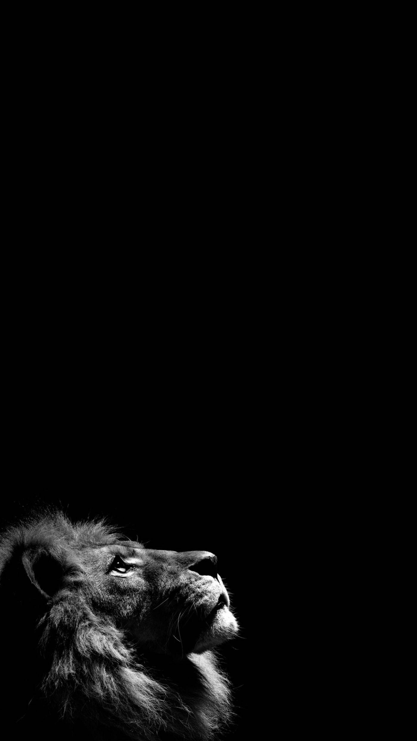 lion, solid black, iphone, Full HD Phone Wallpaper