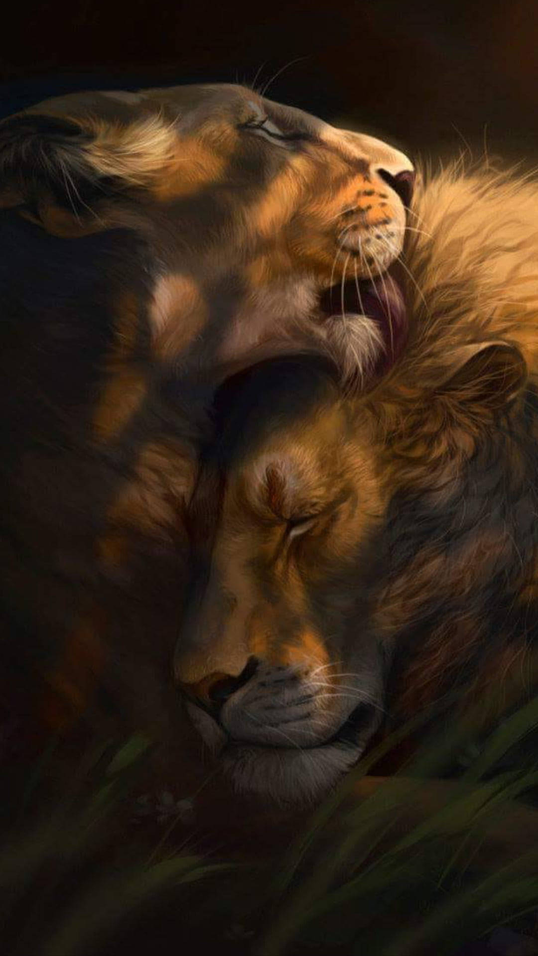 Lioness, male lion, grassy setting, Full HD Phone Wallpaper
