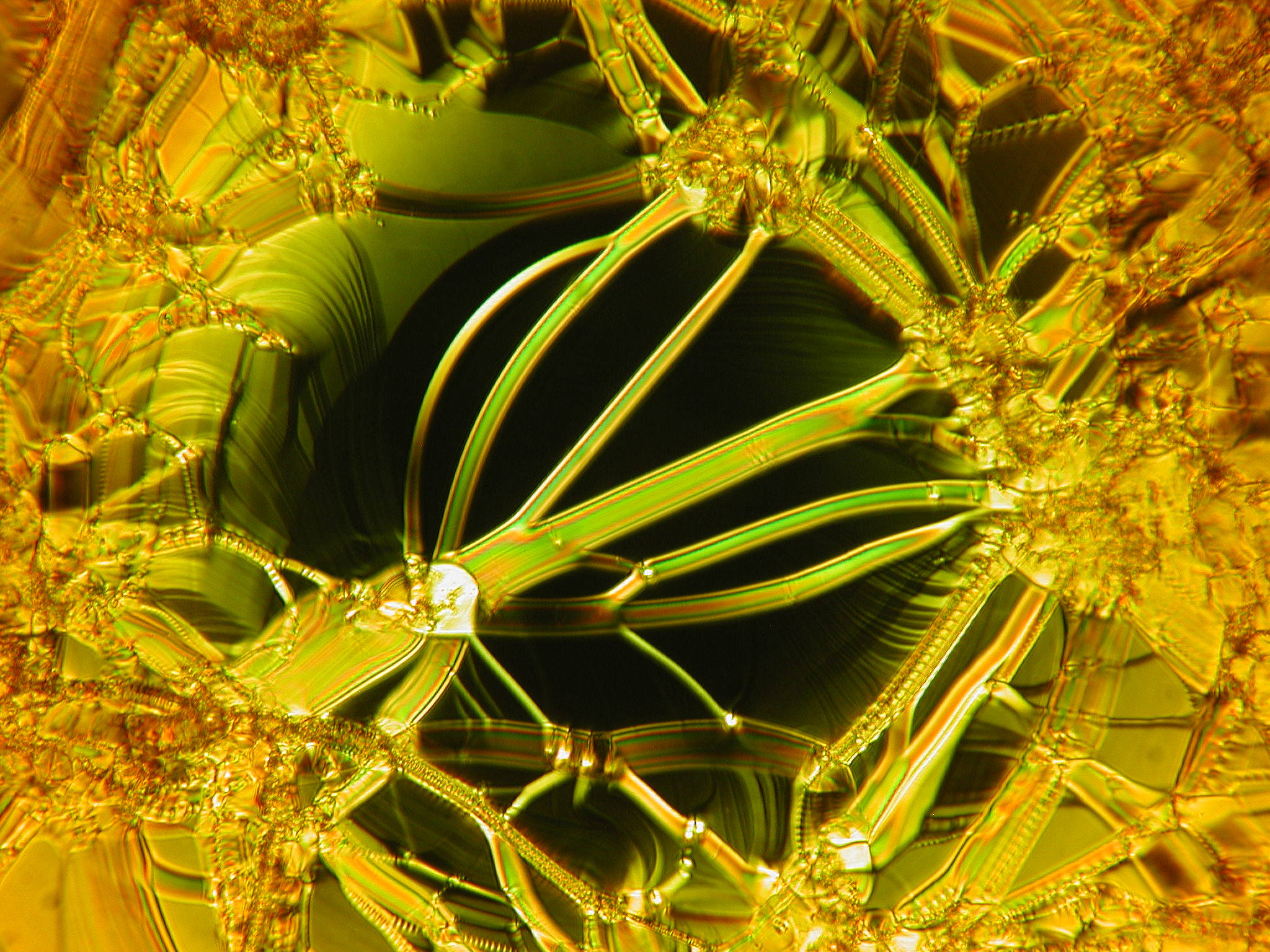 golden fractal patterns, dark center, mesmerizing digital artwork, Full HD Desktop Wallpaper