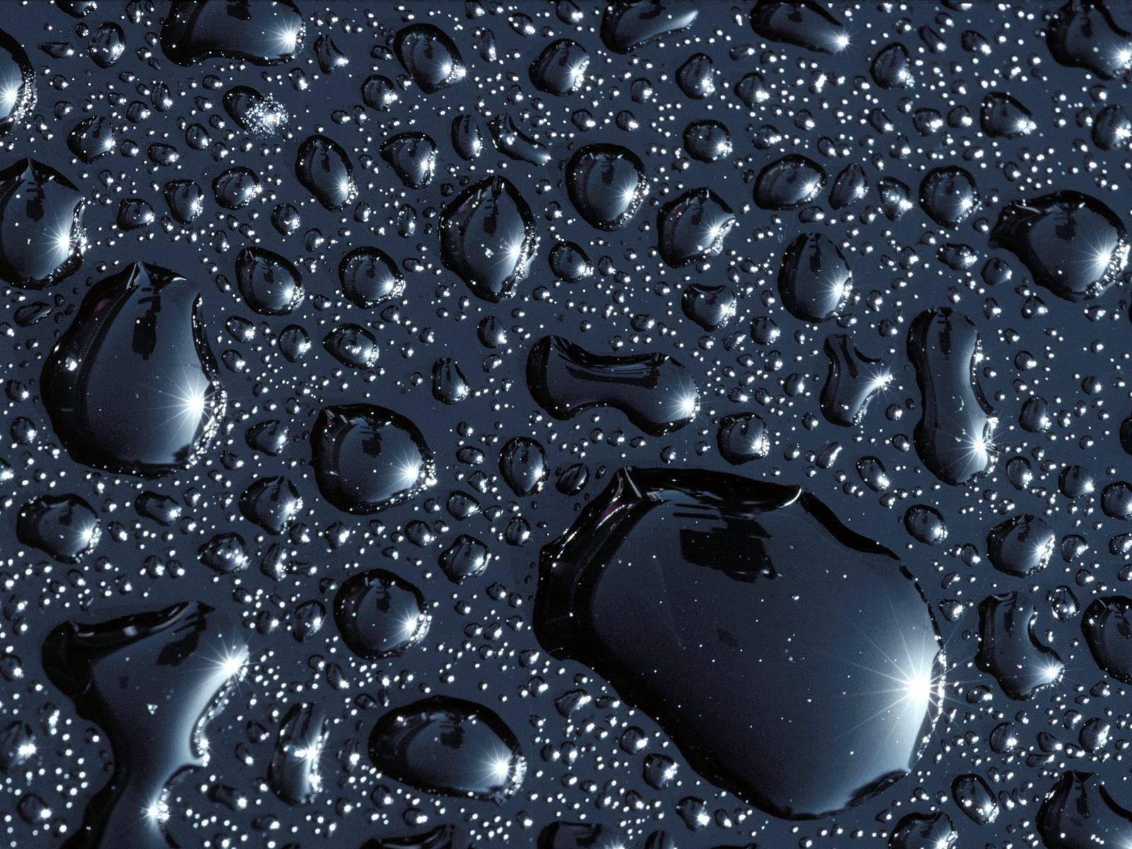 liquid drops, black, glistening water droplets, HD Desktop Wallpaper