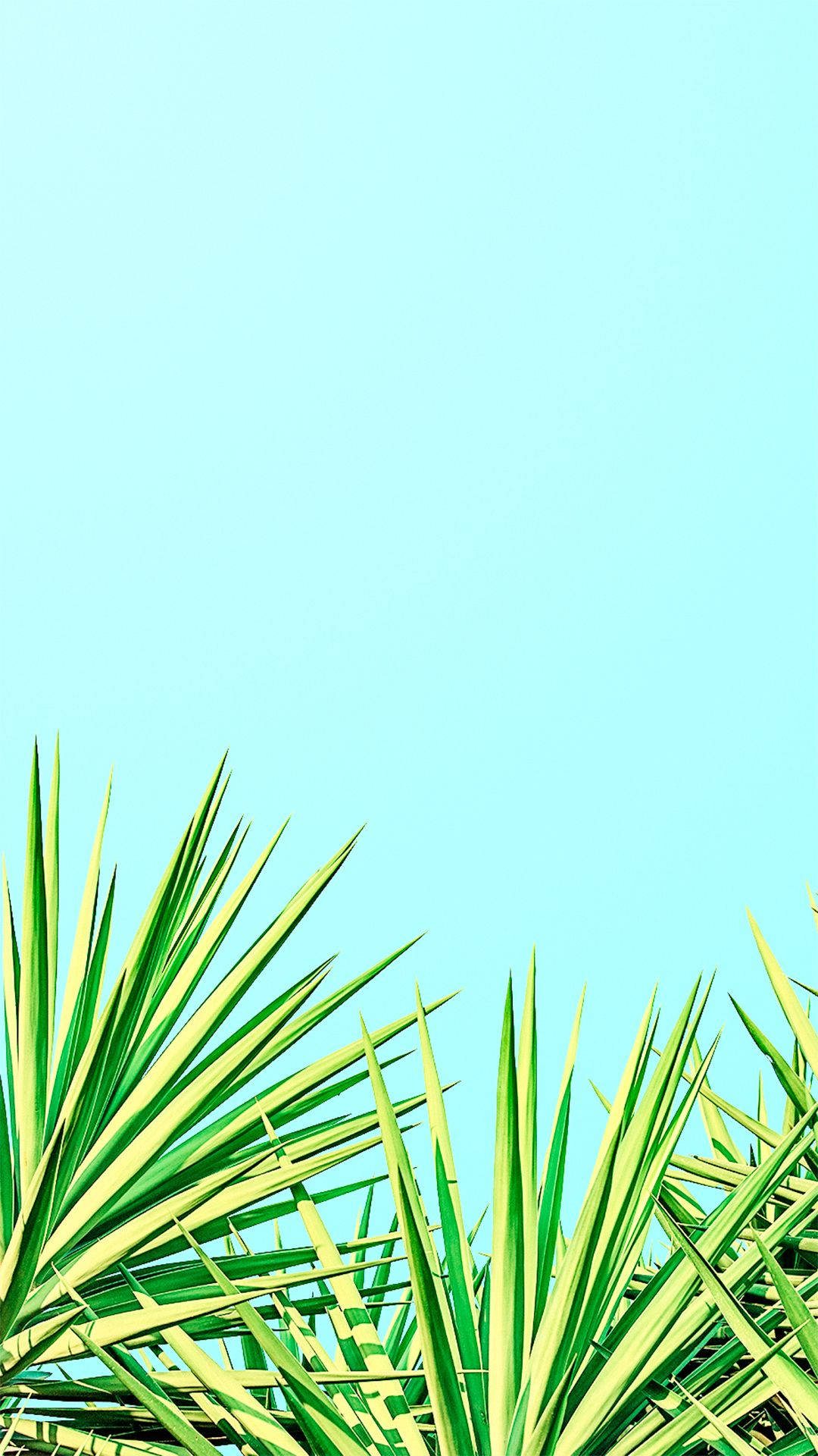 vibrant green spiky leaves, soft cyan sky, minimalist tropical scene, Full HD Phone Wallpaper