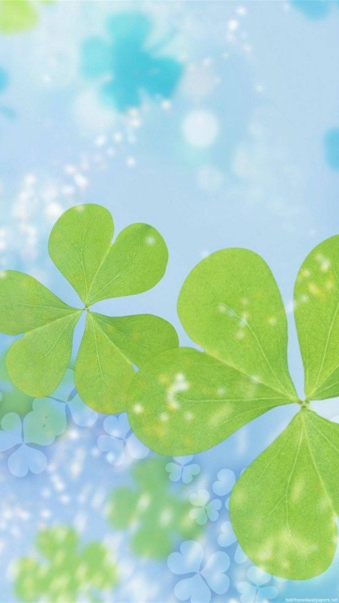 bright iPhone, vibrant green, four leaf clovers, Full HD Phone Wallpaper