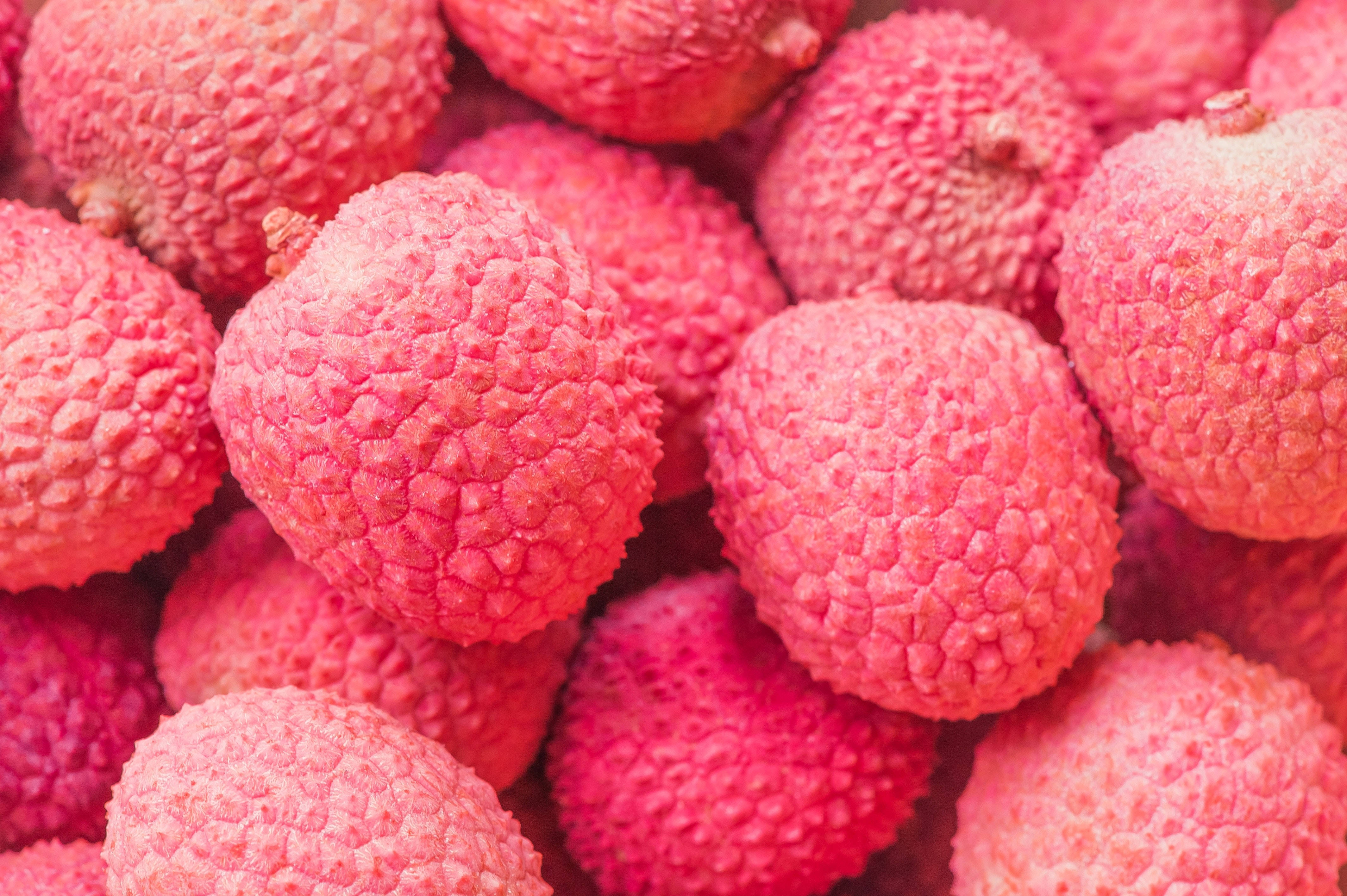 pink litchi, lychee, vibrant pink, 4K Desktop Wallpaper