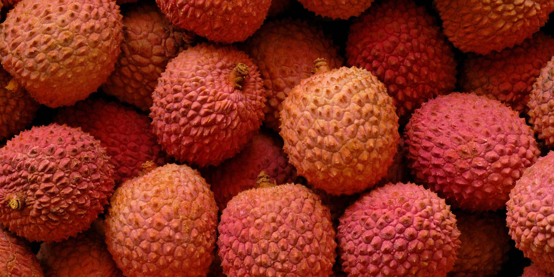 red yellowish litchi fruits, vibrant pink, red lychees, Full HD Desktop Wallpaper