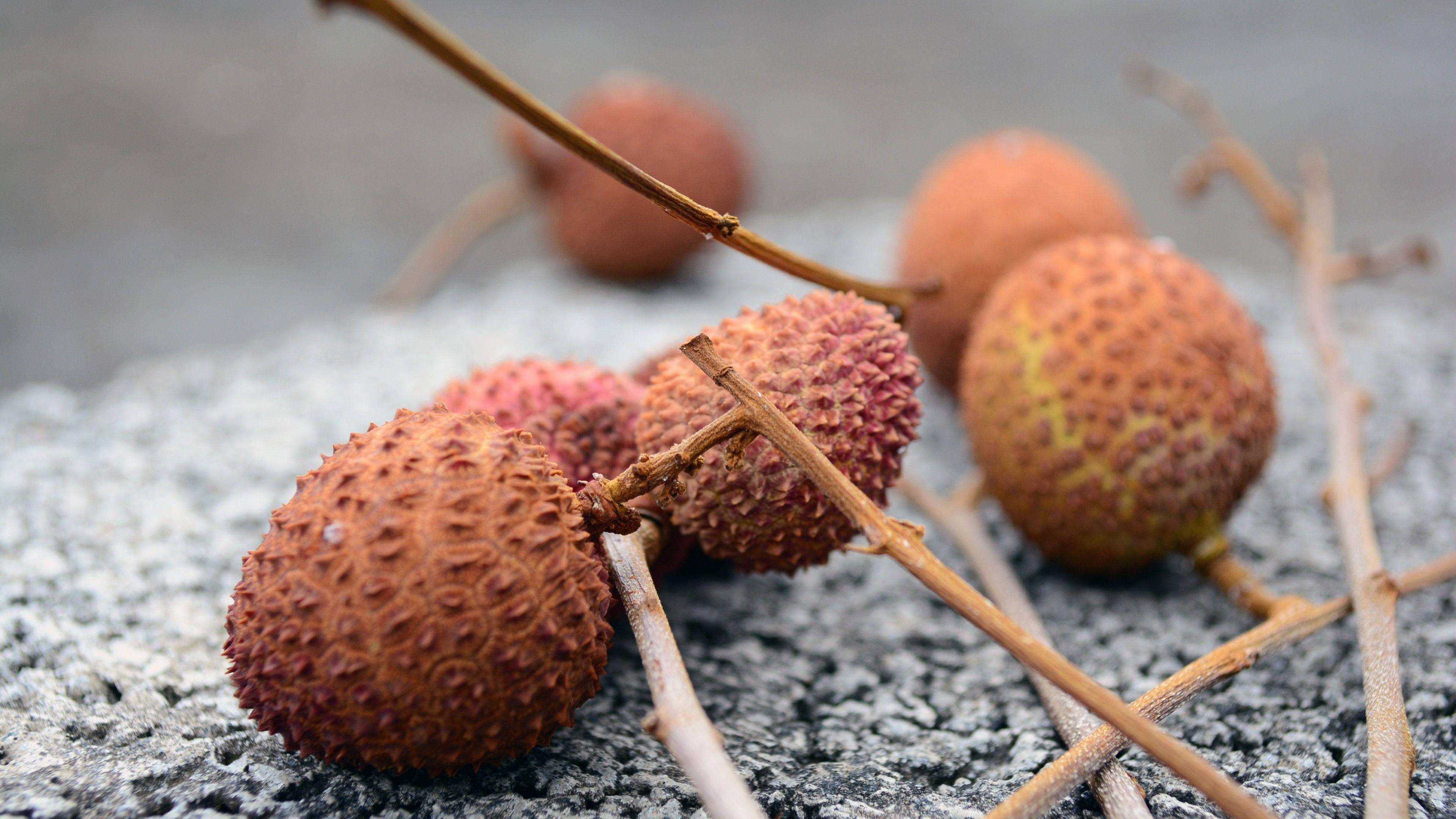 dried brown litchis, ripe lychees, bumpy reddish-brown skin, 4K Desktop Wallpaper