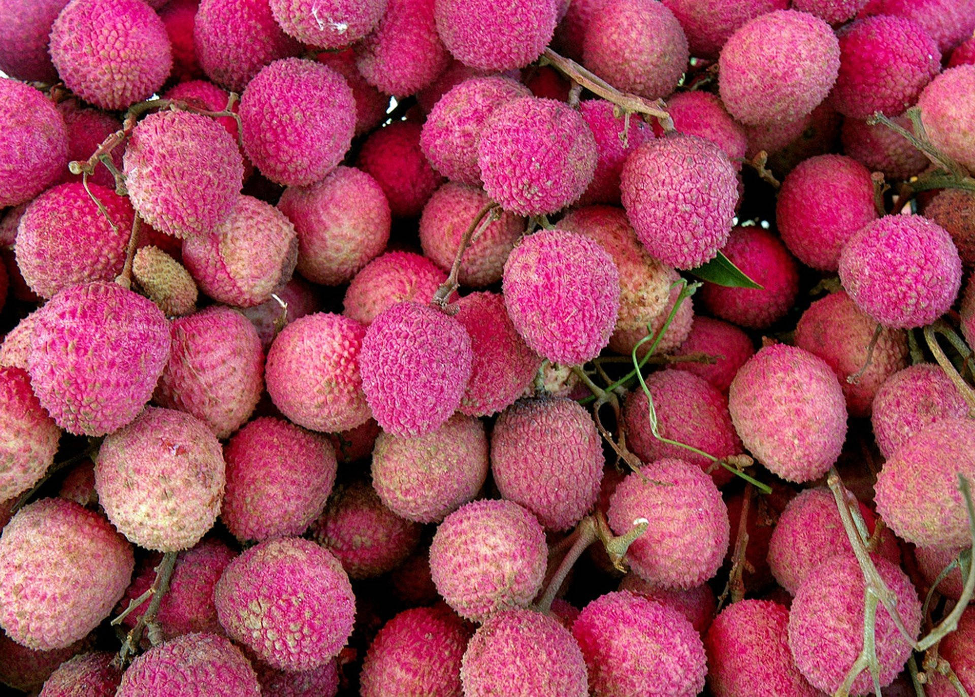 pink litchi, lychees, pink rinds, Full HD Desktop Wallpaper