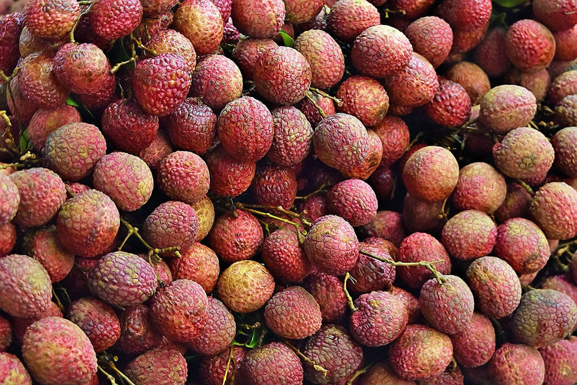 lychees, red rinds, pink rinds, Full HD Desktop Wallpaper