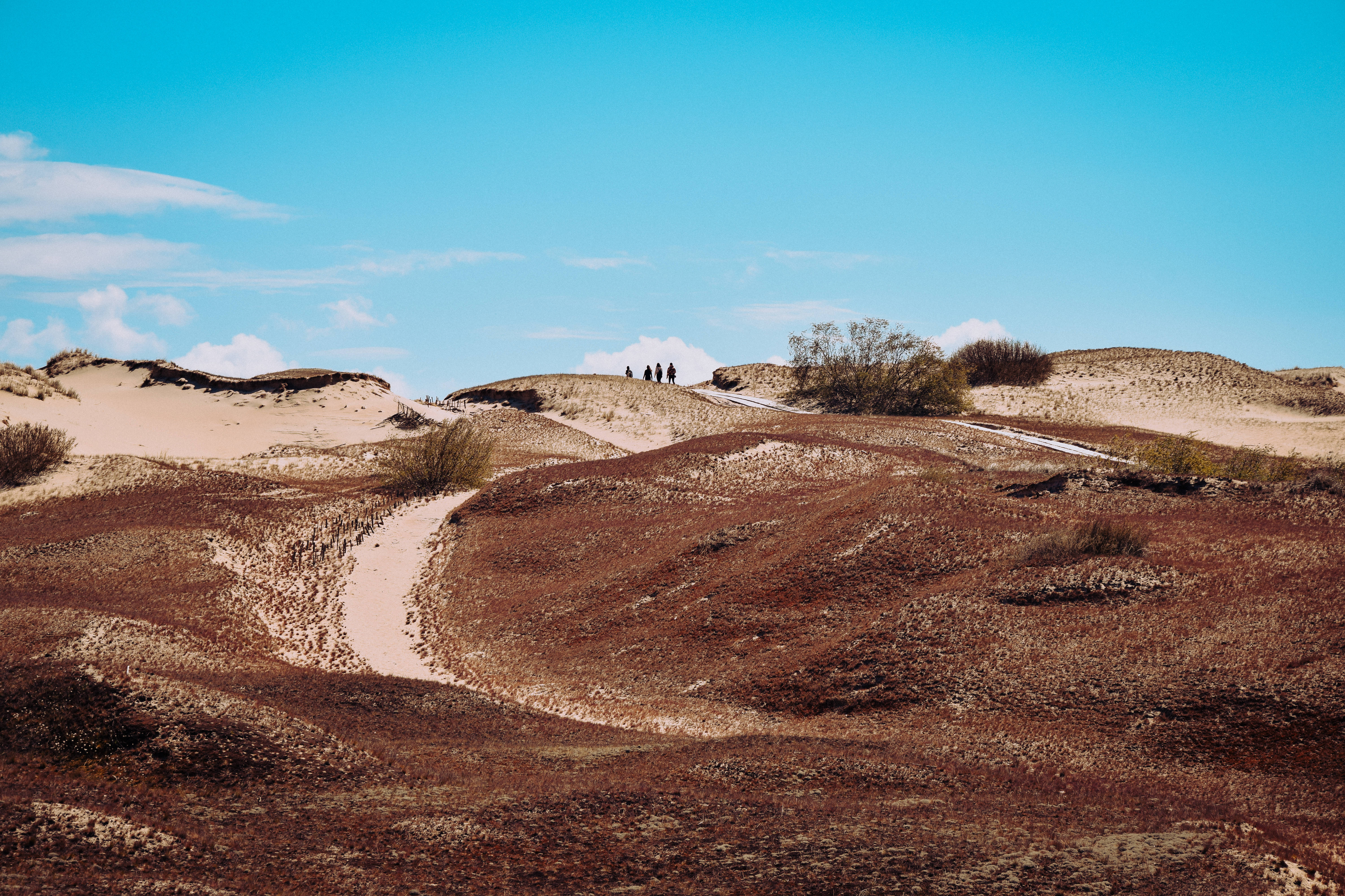 brown sand dune, Lithuania, reddish-brown dunes, 5K Desktop Wallpaper