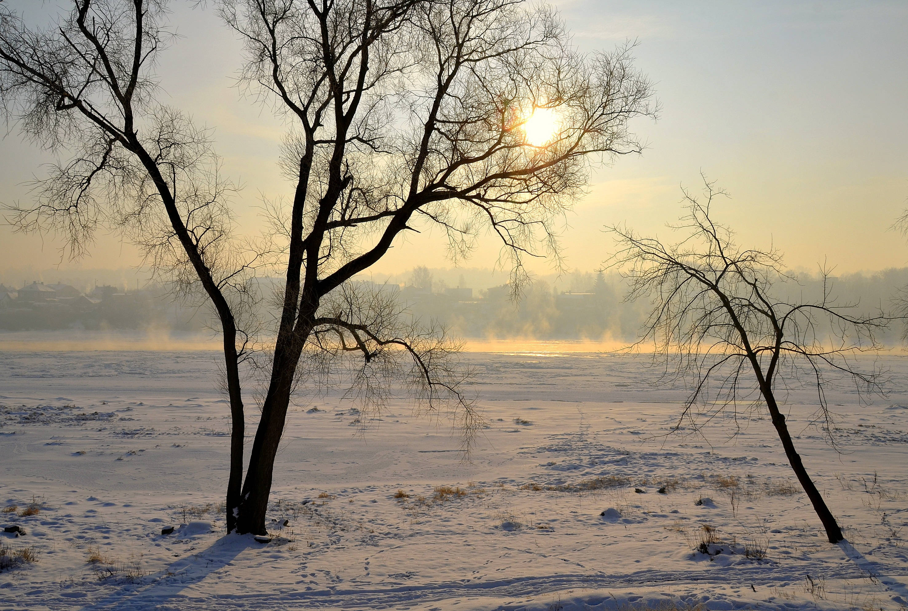 snowy forest, sunset, Lithuania, 2K Desktop Wallpaper