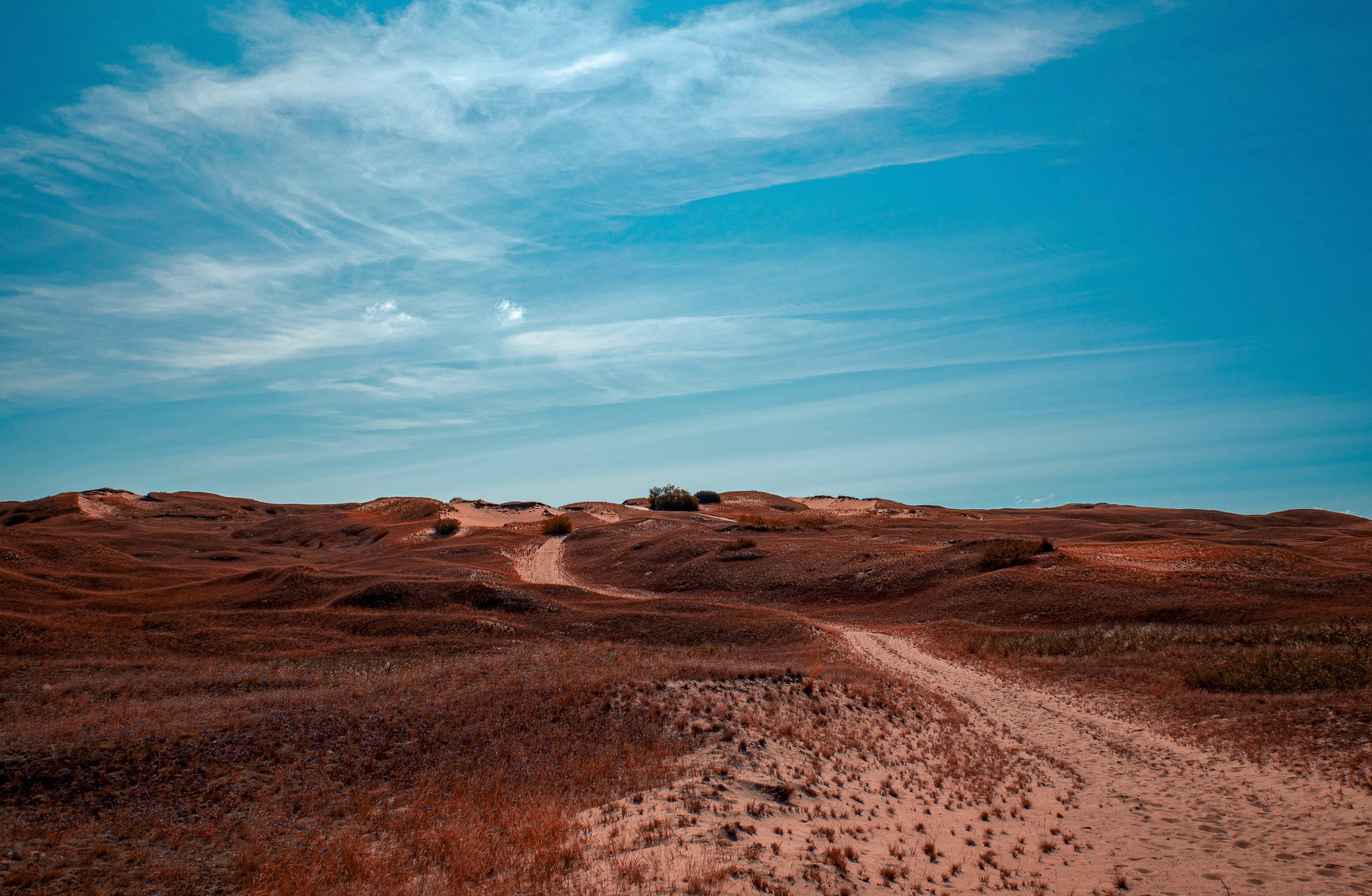 sandy dirt road, Lithuania, red-brown desert landscape, 4K Desktop Wallpaper