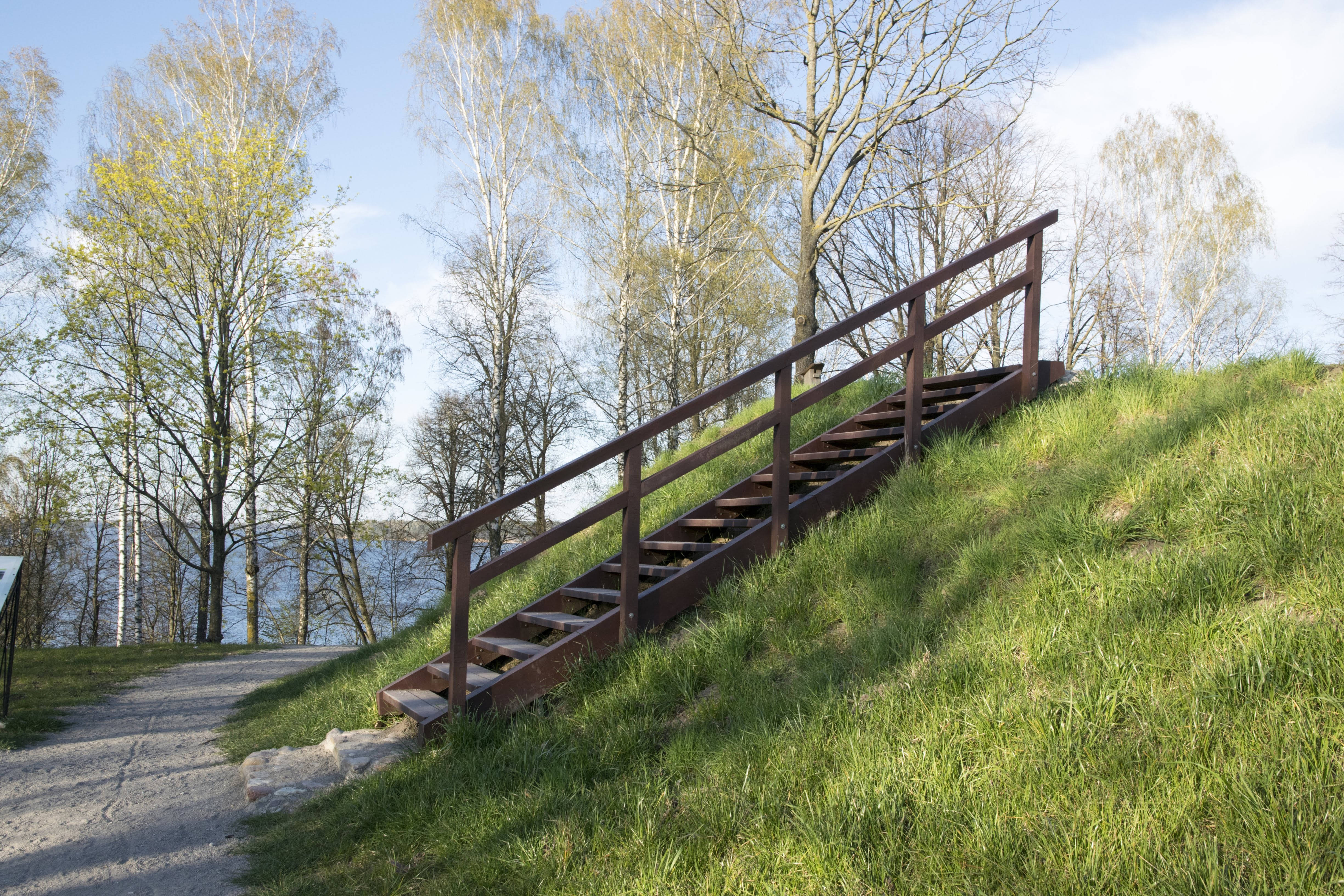 wooden stairs, Lithuania, birch trees, 4K Desktop Wallpaper