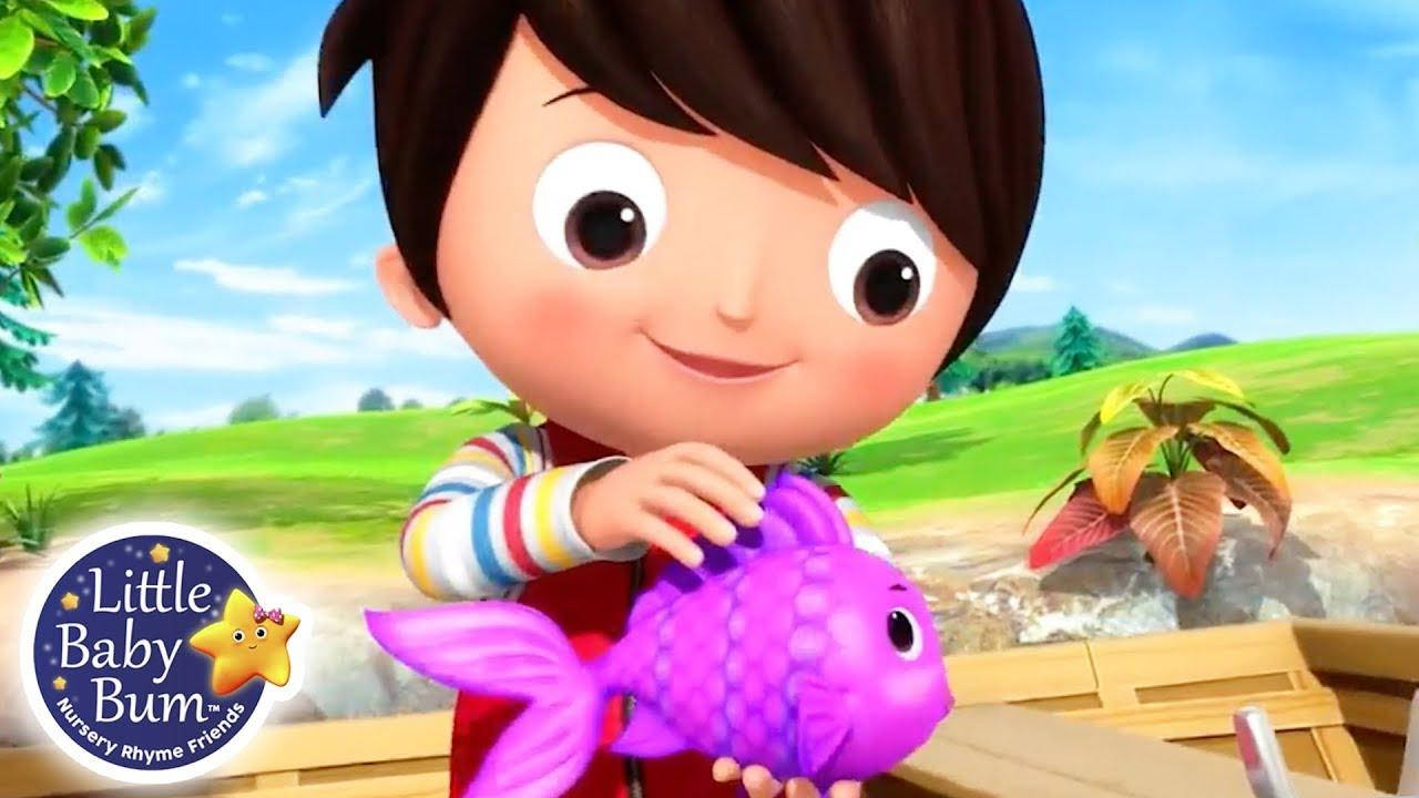 Little Baby Bum, purple fish, cartoon boy, HD Desktop Wallpaper