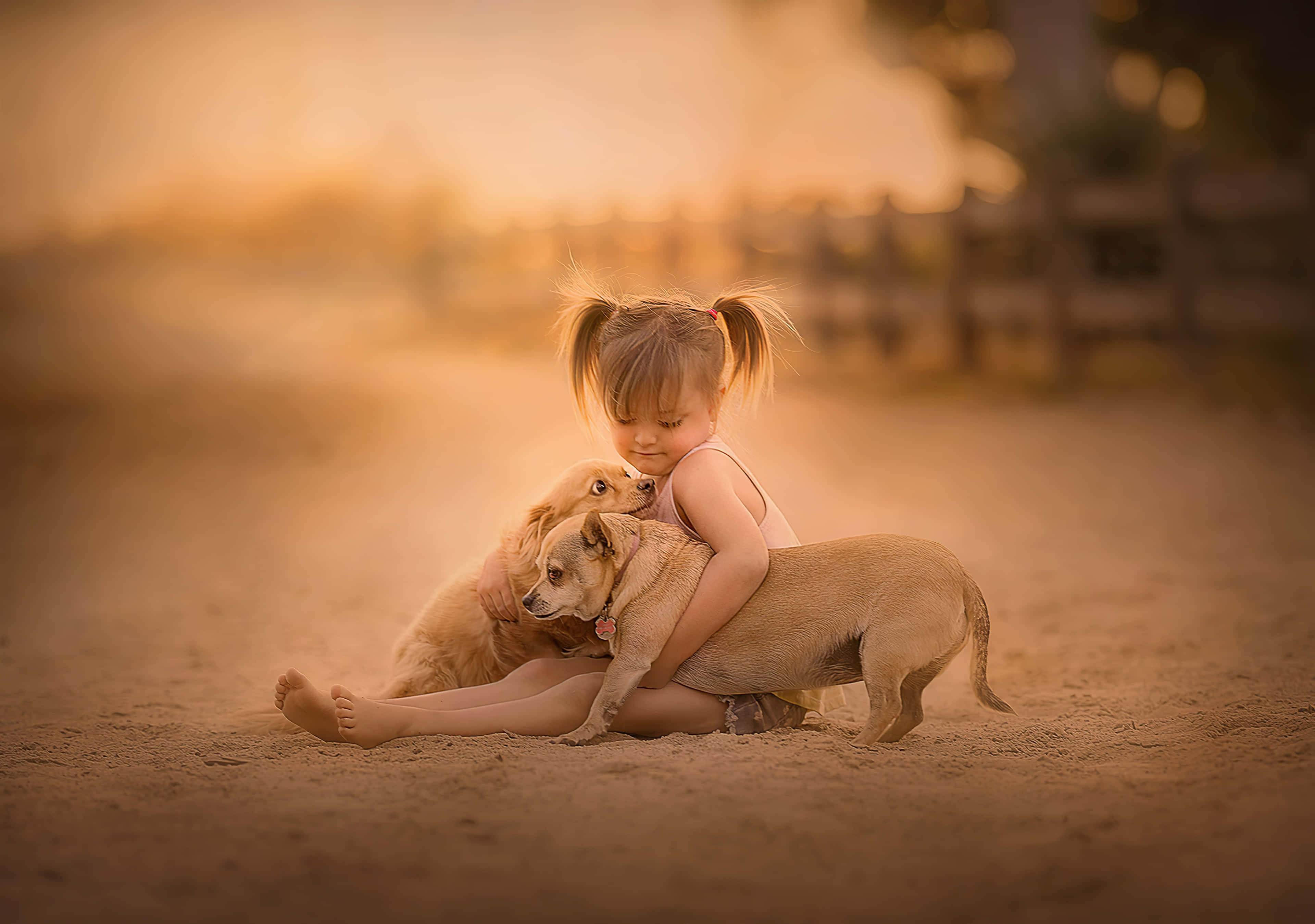 little girl, pigtails, two dogs, 4K Desktop Wallpaper
