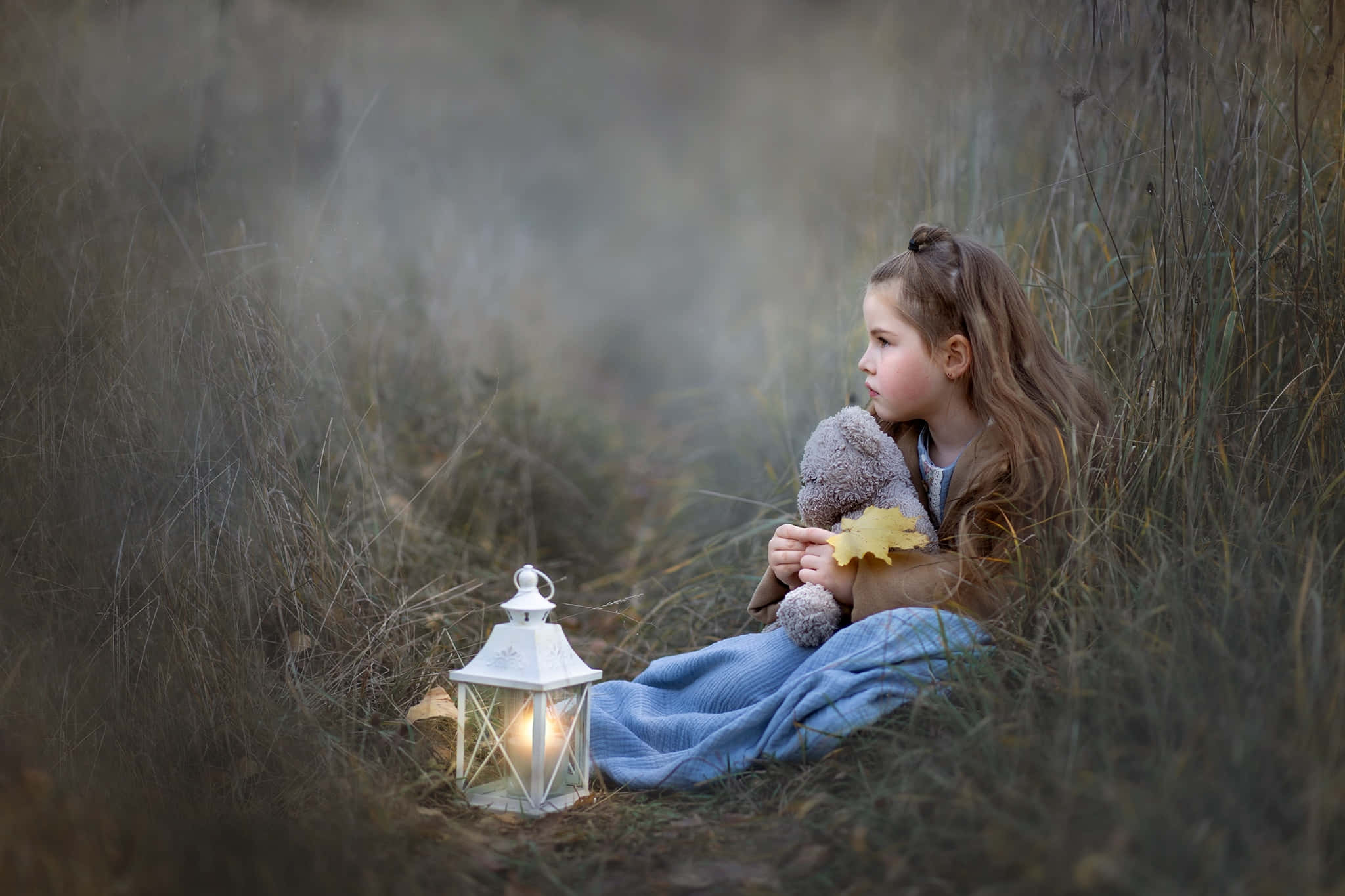 Autumn Contemplation Little Girl, tall grass, teddy bear, Full HD Desktop Wallpaper