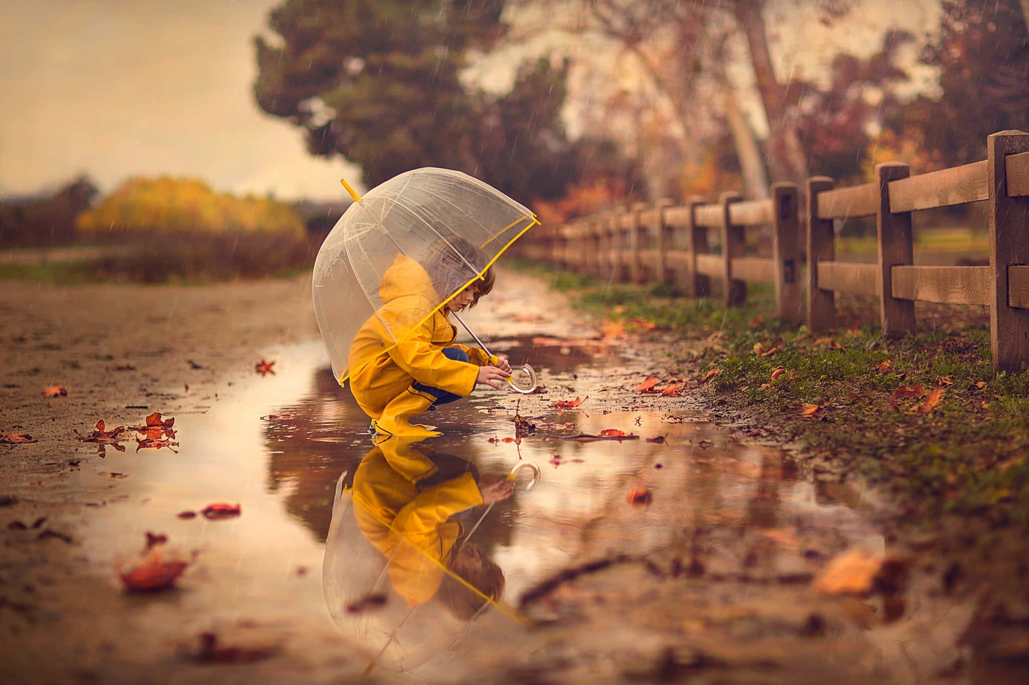 Little Girl, yellow raincoat, clear umbrella, Full HD Desktop Wallpaper