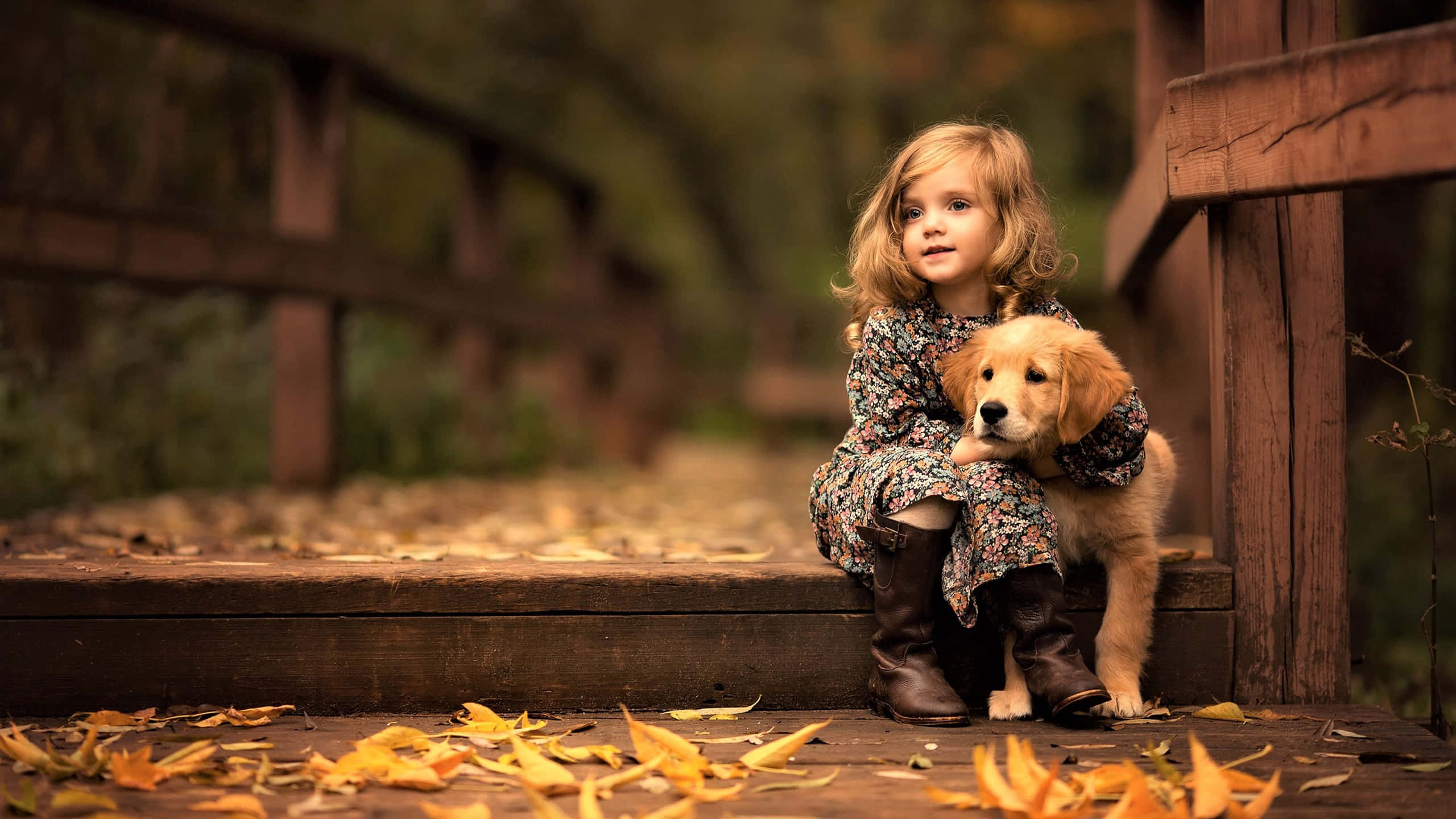 young girl, floral dress, wooden bridge step, 2K Desktop Wallpaper