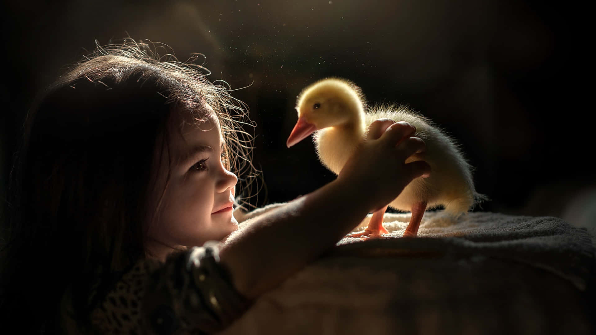 Little Girl, duckling, fluffy yellow, Full HD Desktop Wallpaper