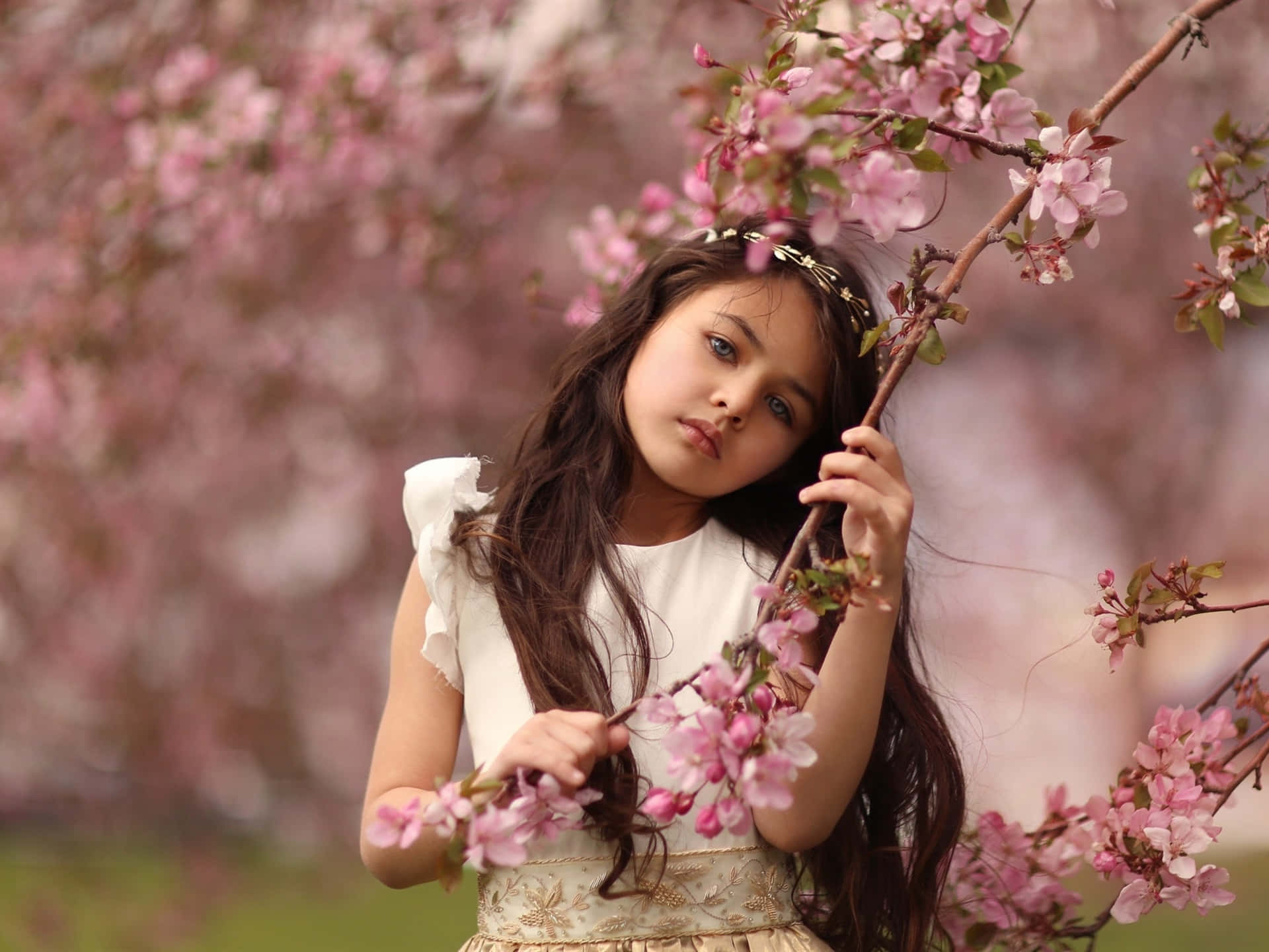 young girl, white dress, pink cherry blossoms, Full HD Desktop Wallpaper