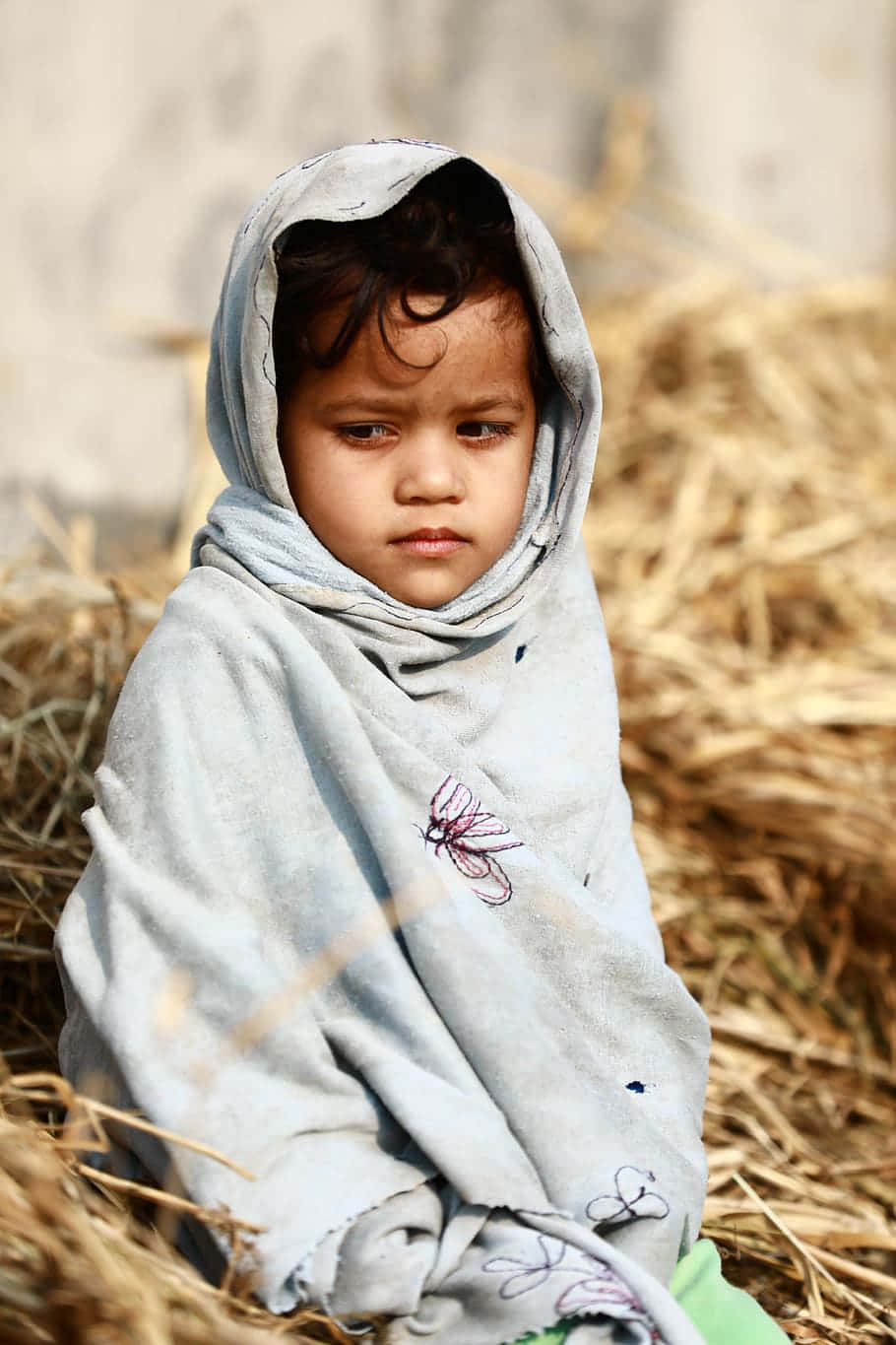 Poor Little Girl Portrait, faded blue cloth, golden hay bales, HD Phone Wallpaper