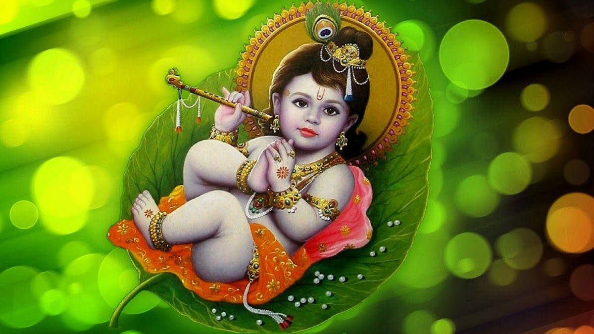 Little Krishna HD, green leaf, flute adorned with beads and jewels, SD Desktop Wallpaper