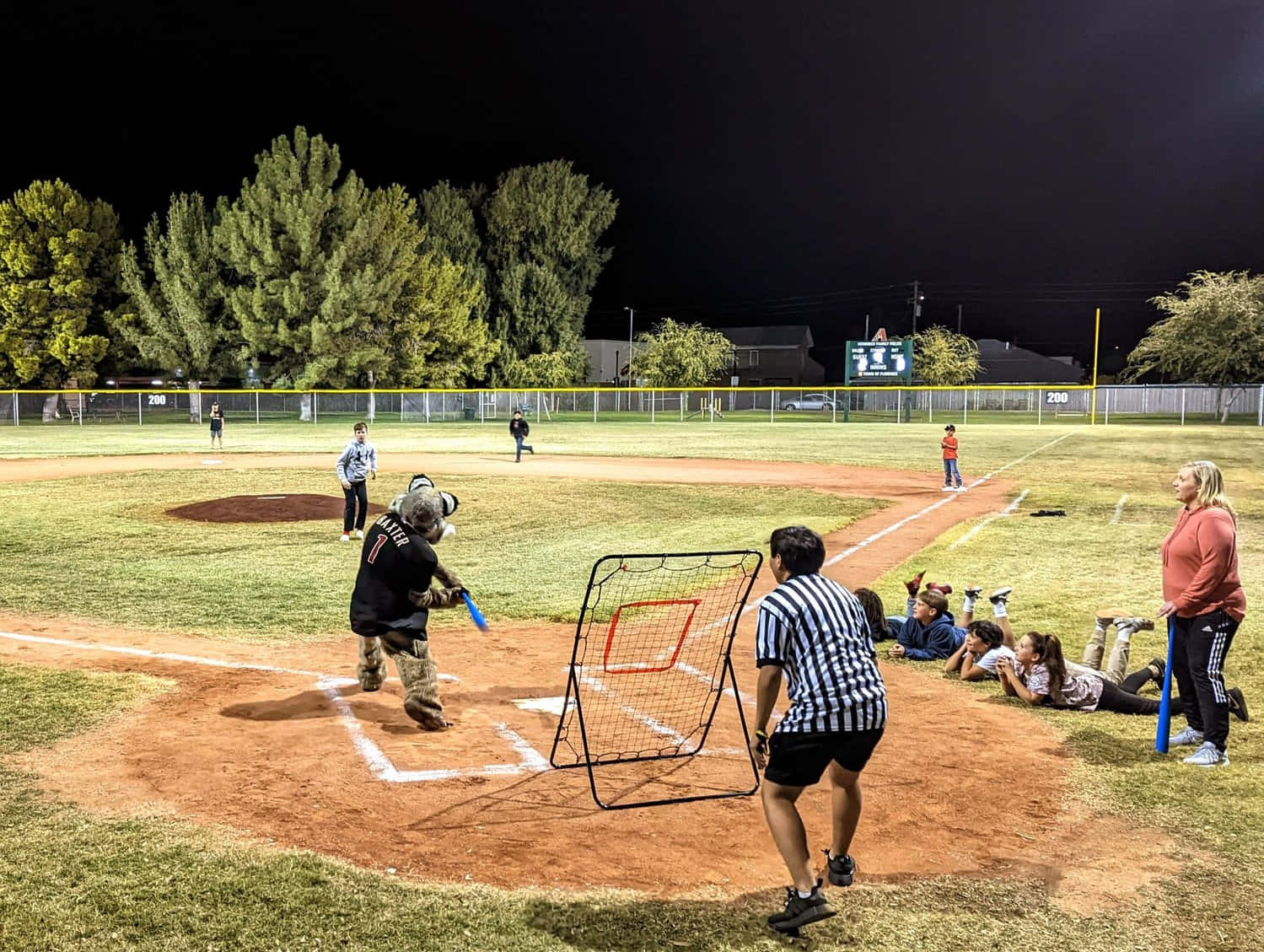 Little League Baseball, night baseball game, stadium lights, HD Desktop Wallpaper