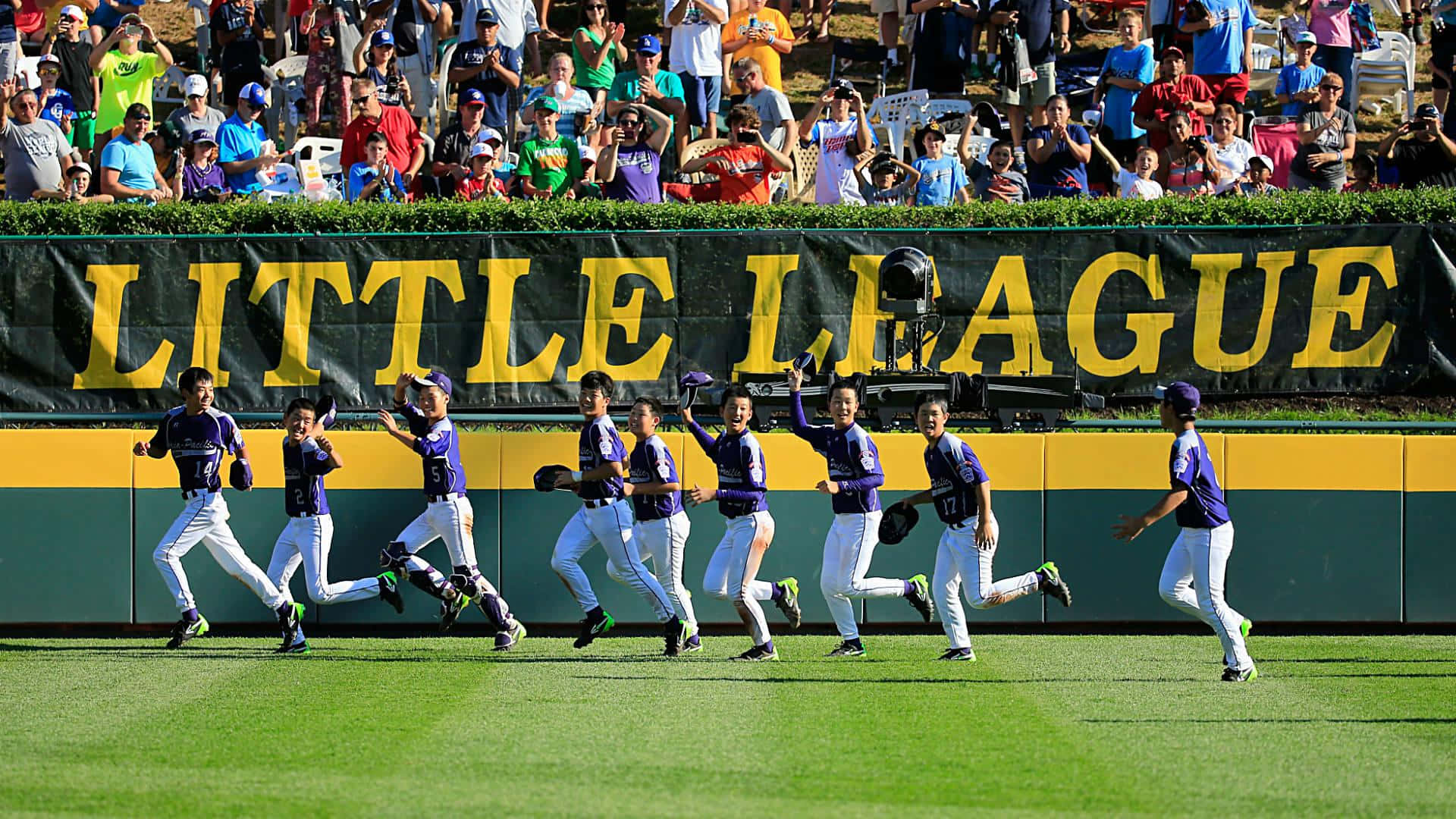Little League Baseball, purple uniforms, sunlit green field, Full HD Desktop Wallpaper