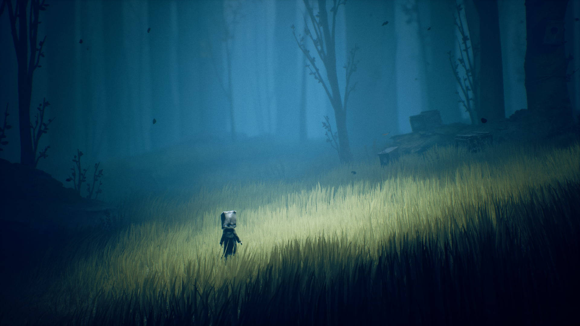 Little Nightmares, misty blue forest, bare trees, Full HD Desktop Wallpaper